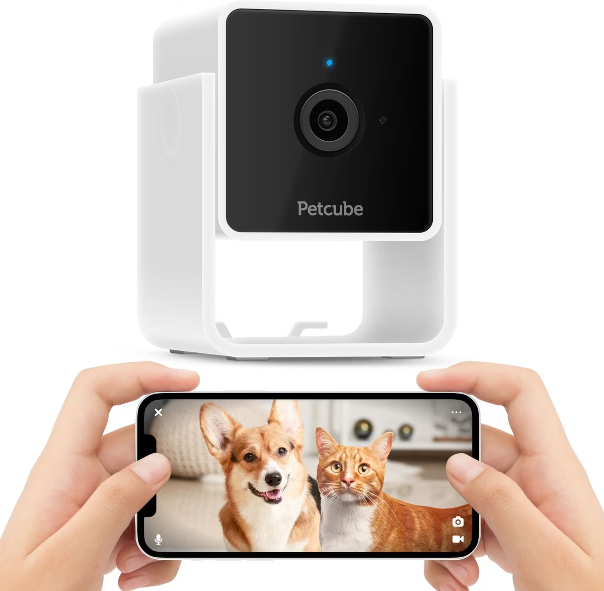 Petcube Cam HD Monitoring with Vet Chat Pet Camera