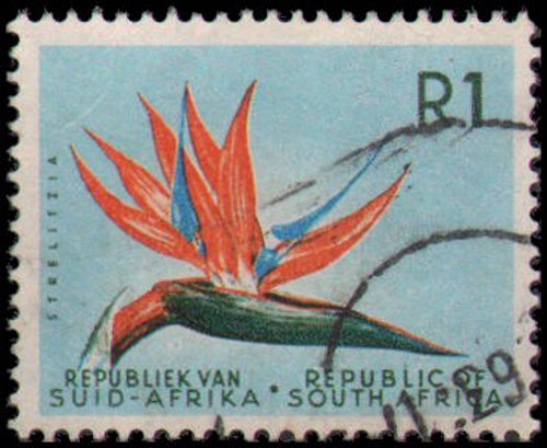 South Africa #266 Used