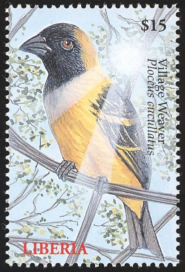 Liberia 2000 MNH, Birds, Village Weaver (Ploceus cucullatus) 