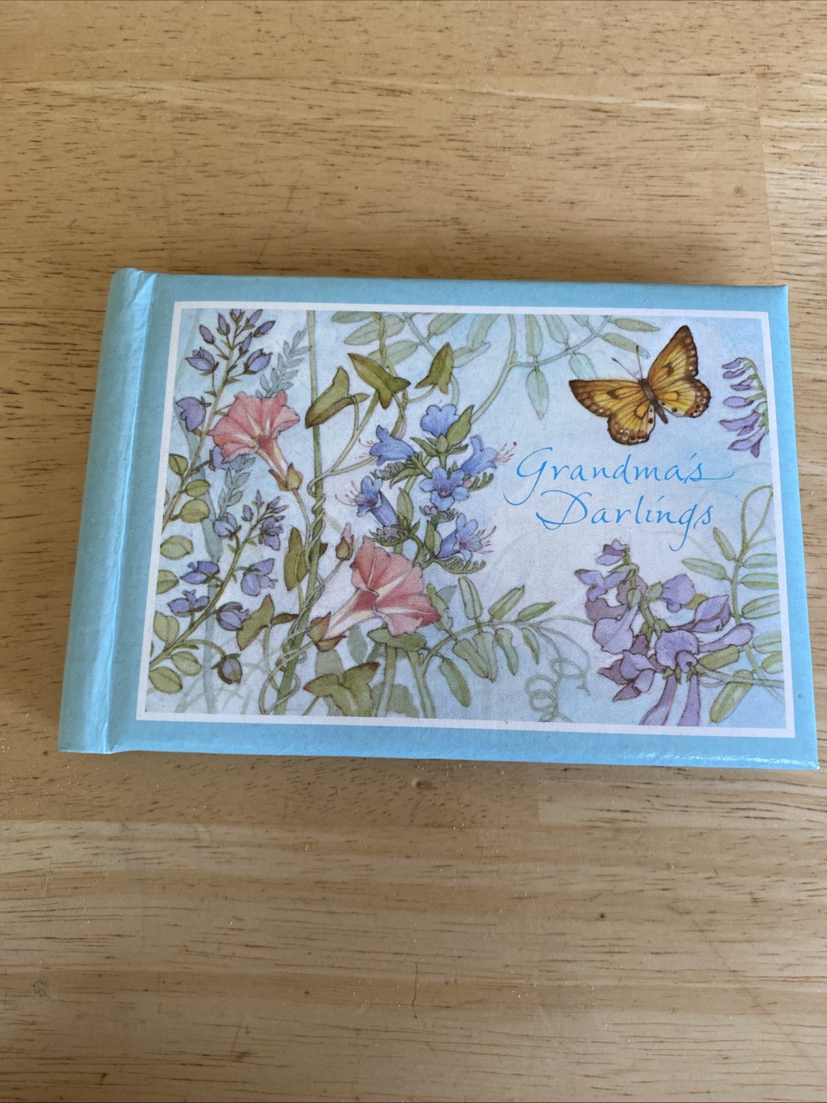 Vintage Hallmark Grandma's Darlings Floral Butterfly Mini Photo Album 3 1/2”x 5”