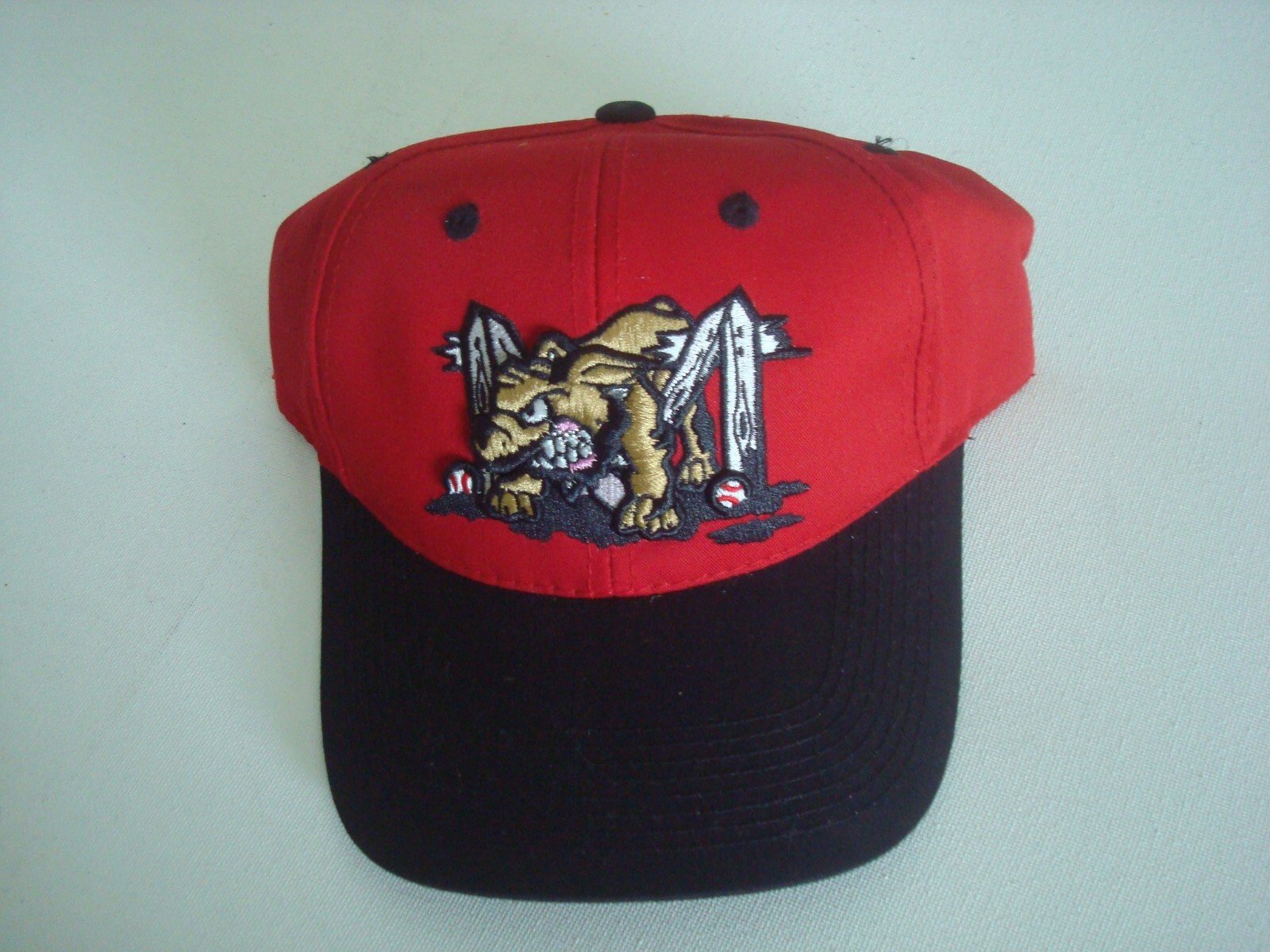 MINOR LEAGUE BASEBALL   STRAPBACK  DEADSTOCK HAT CAP VINTAGE BX1 BEACH GOLF