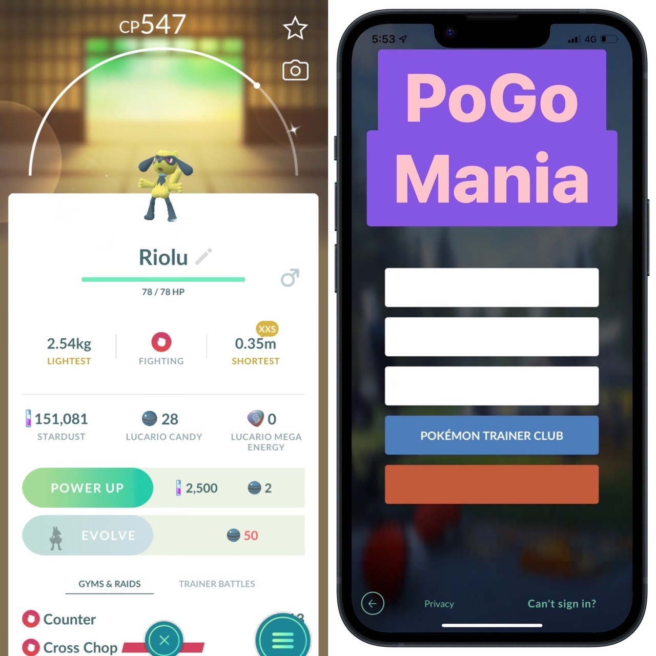 Shiny Riolu✨xxs Size✨mini PTC 20k✨(read description)