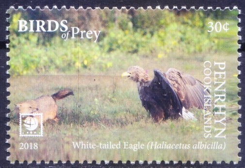 Penrhyn Cook Islands 2018 MNH, Birds of Prey, White tailed Eagle, Falcons