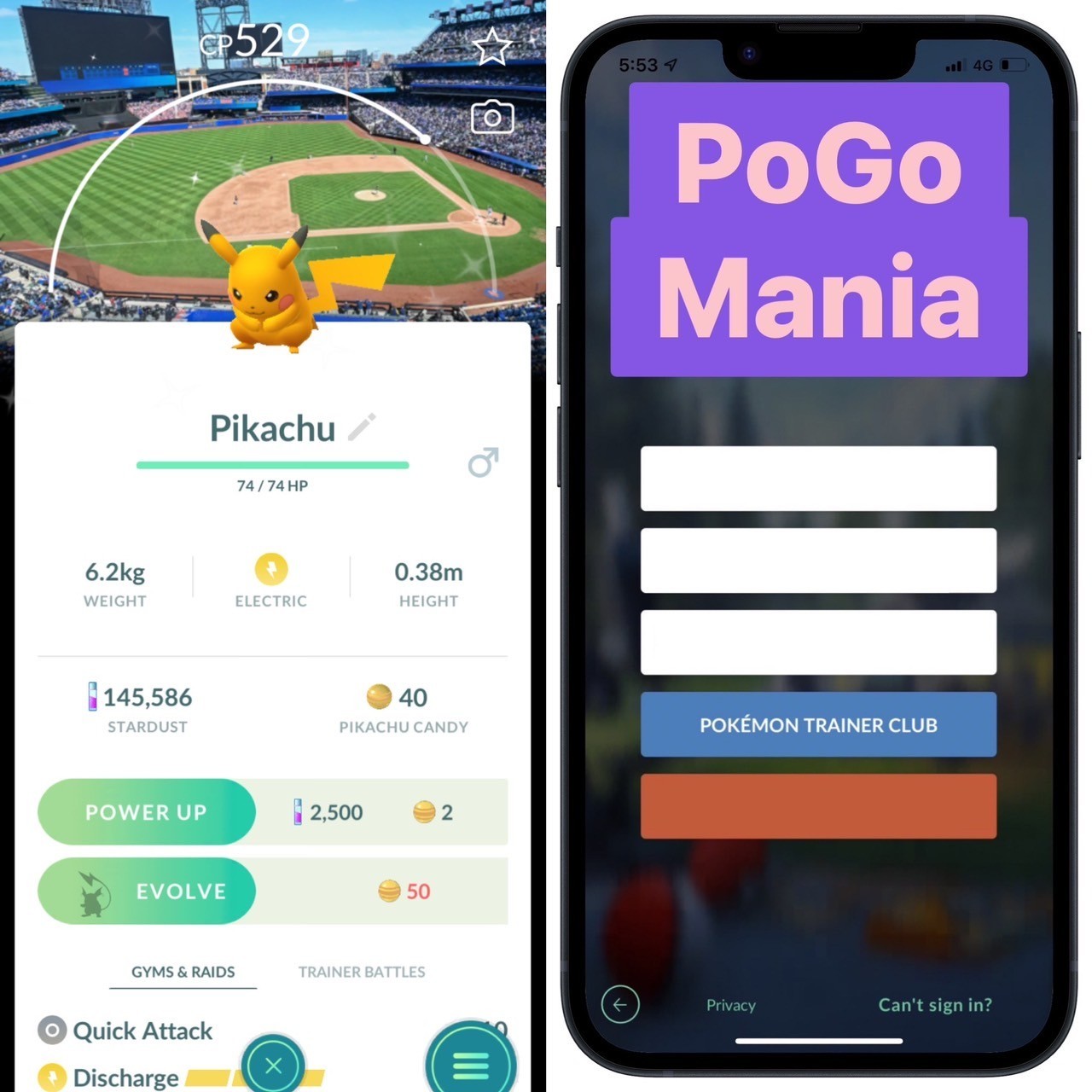 Shiny Pikachu✨MLB New York Mets Baseball Court Background✨mini PTC 20k✨