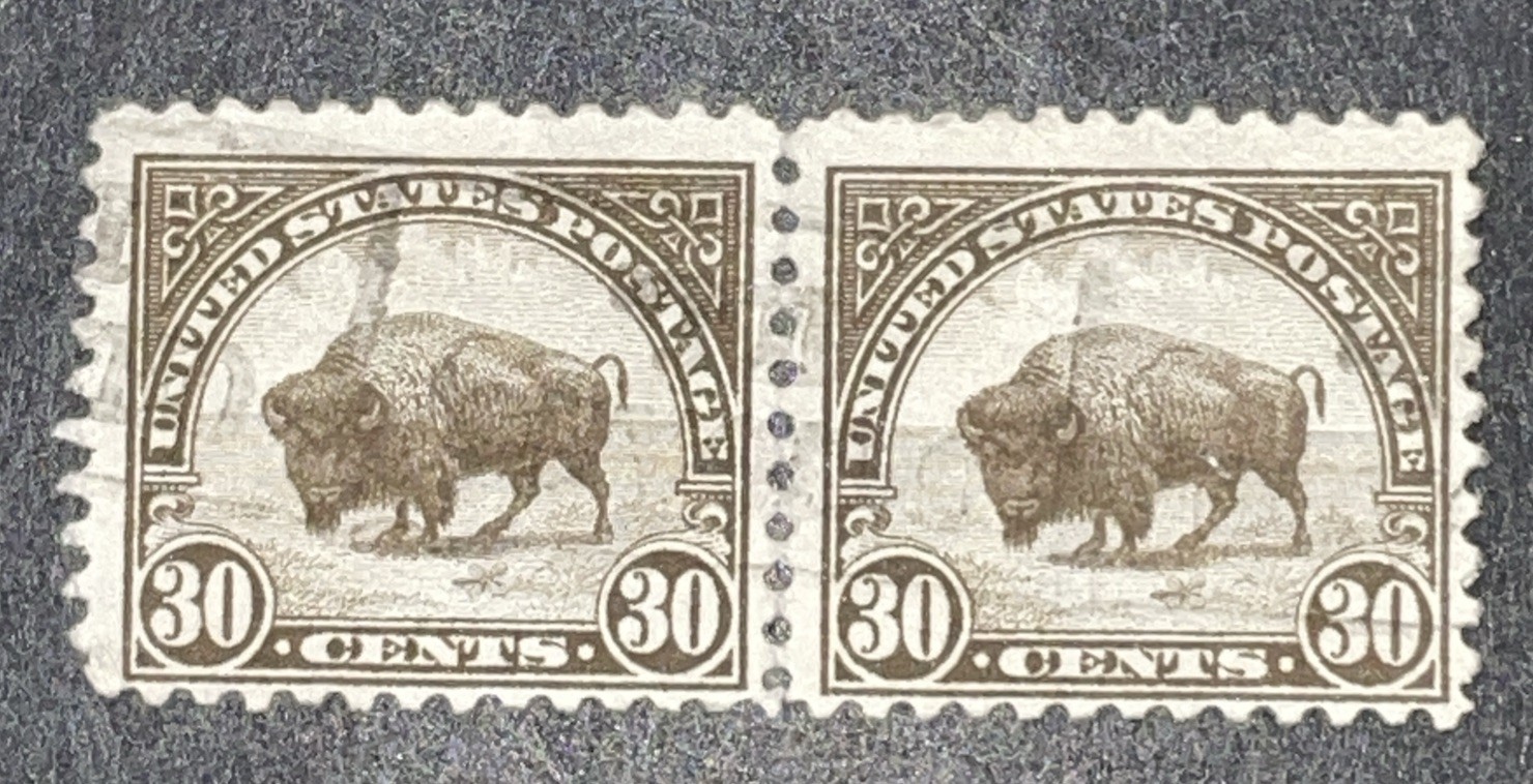 US Scott #569 Used Pair; American Buffalo; 30¢; Olive Brown; Lightly Cancelled