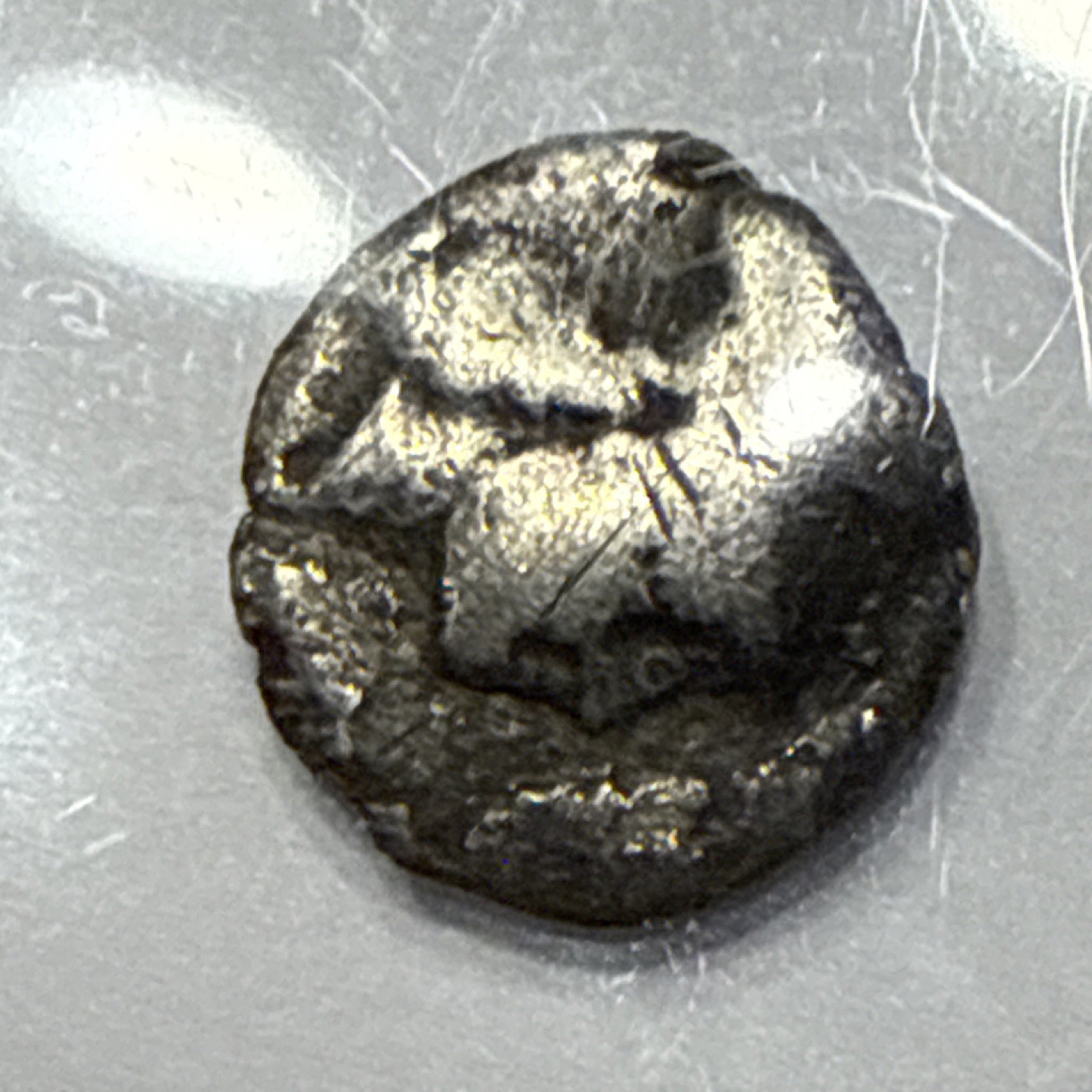 Greek Silver Diobol Lucania Metapontion 325-275 BC Ancient Coin