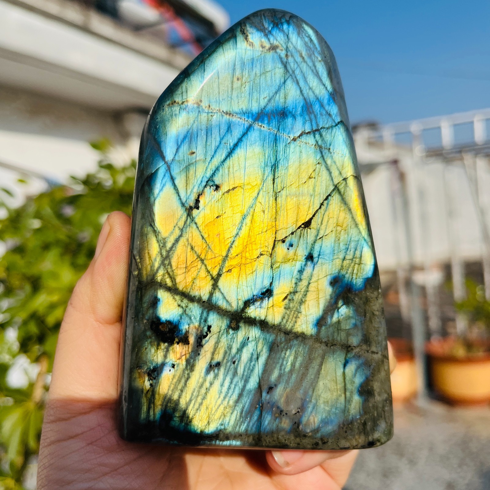 1.81LB Natural Gorgeous Labradorite QuartzCrystal Stone Specimen Healing