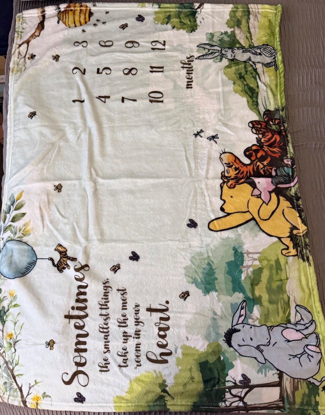 winnie the pooh baby milestone blanket 