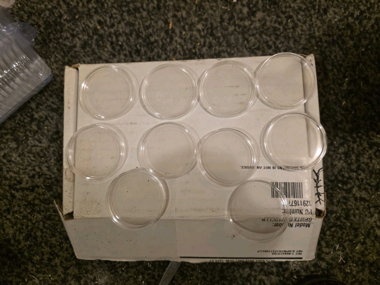 40 mmClear Round Plastic Coin Holder Capsules. Protective Cases for Coins