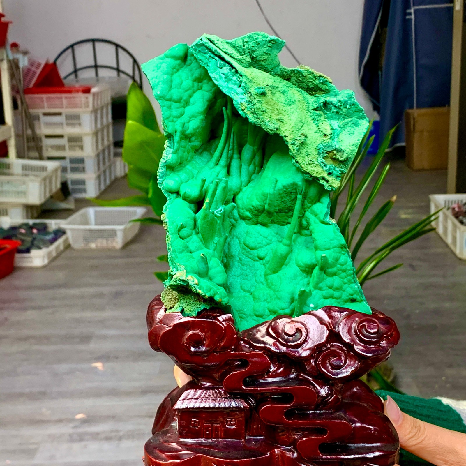 1.21LB Natural VELVET Azurite/Malachite cat's eye specimen crystal mineral-Congo