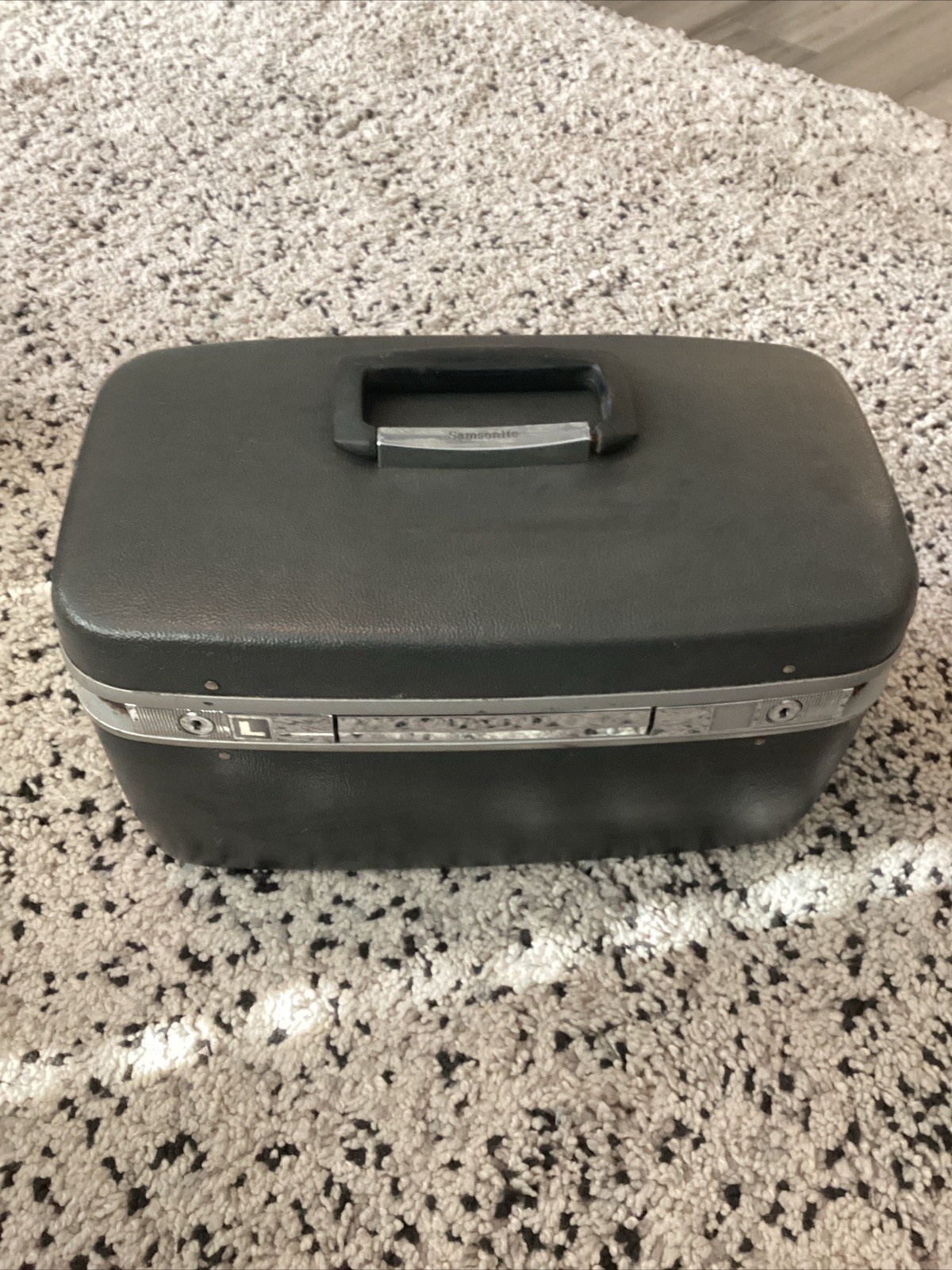 Samsonite Horizon Gray Cosmetic Makeup Train Travel Case Luggage No Key