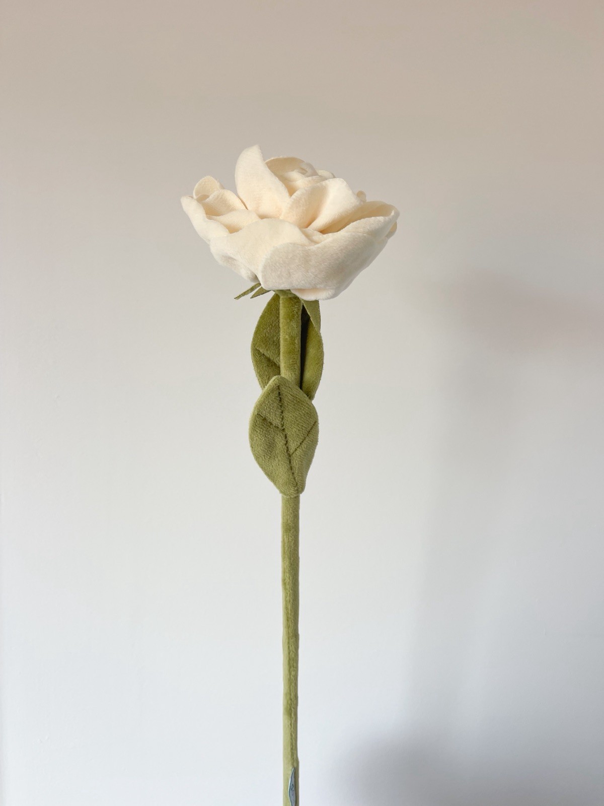 CJ Hendry FlowerShop garden rose