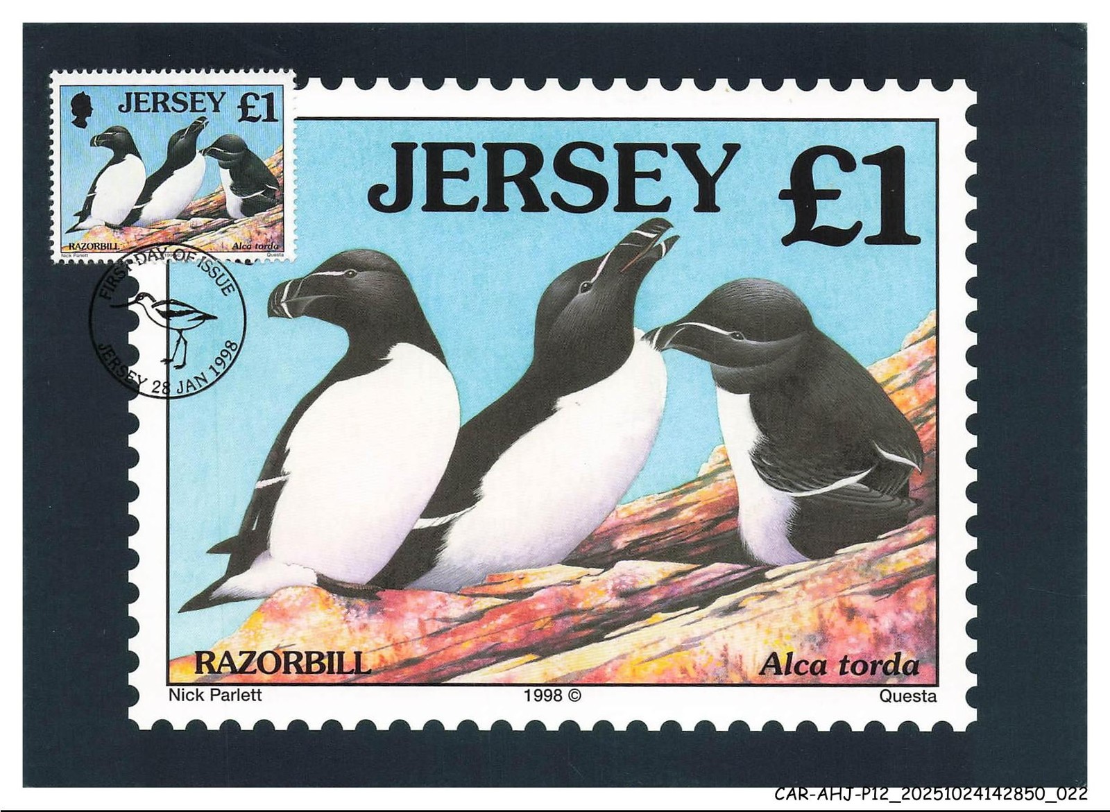 Car Ahjp12 0526 Carte Maximun - Jersey - Alca Torda - 1998