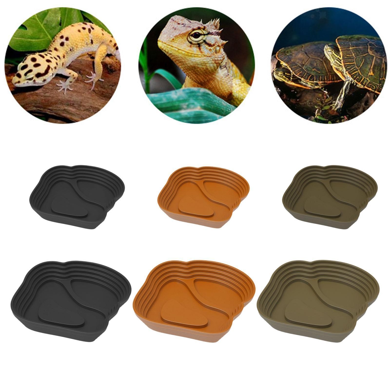 Reptile Bathing Pool Decorative for Pet Supplies Bearded Dragons Frogs