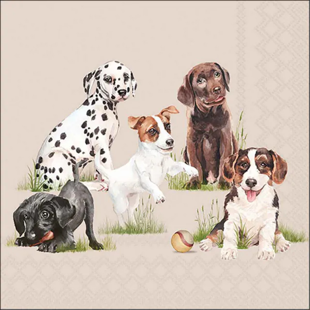 Tovagliolo 33x33 Carta Decorato  Playing Puppies