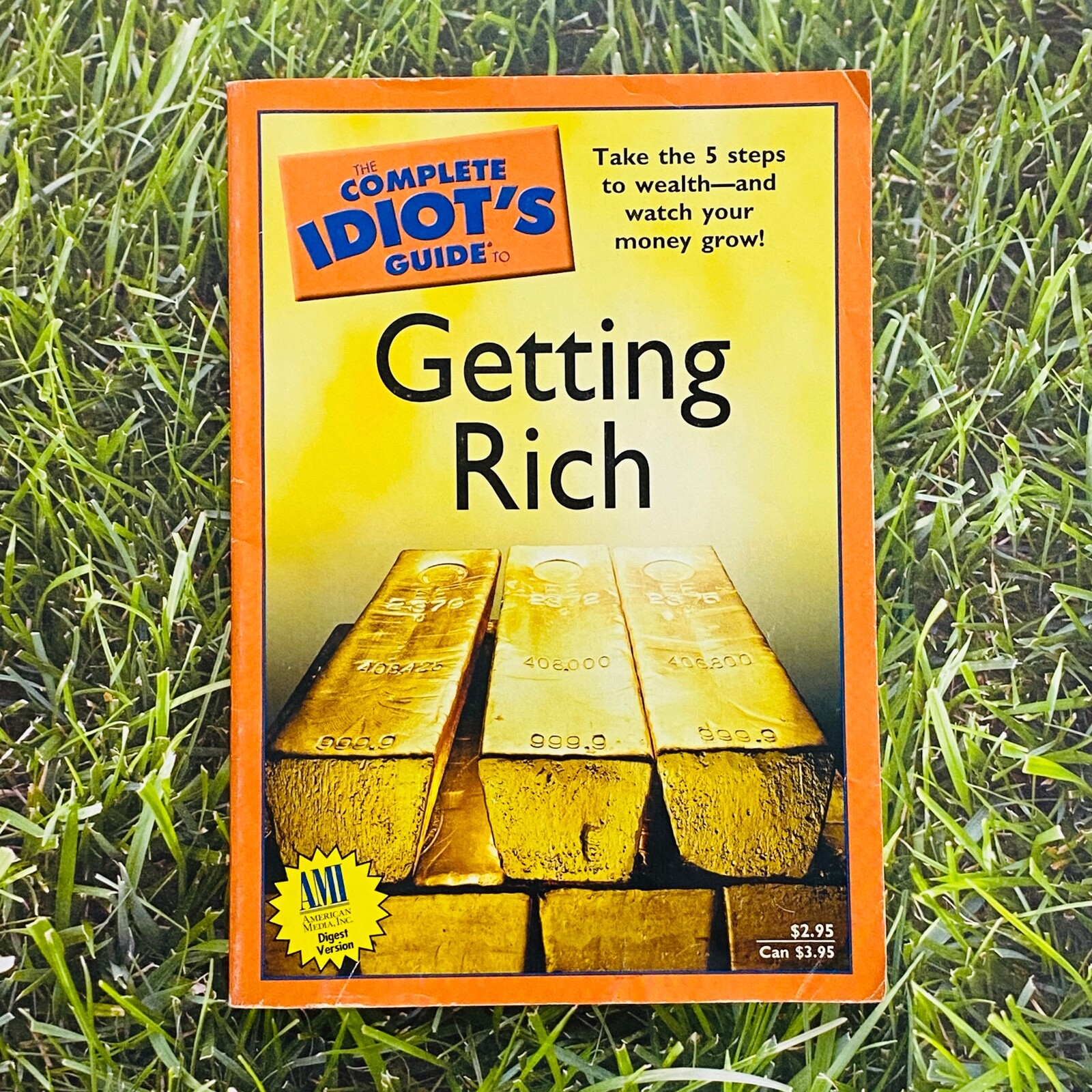 Financial Book Idiots Guide To Getting Rich Money Tactics Wealth Independence