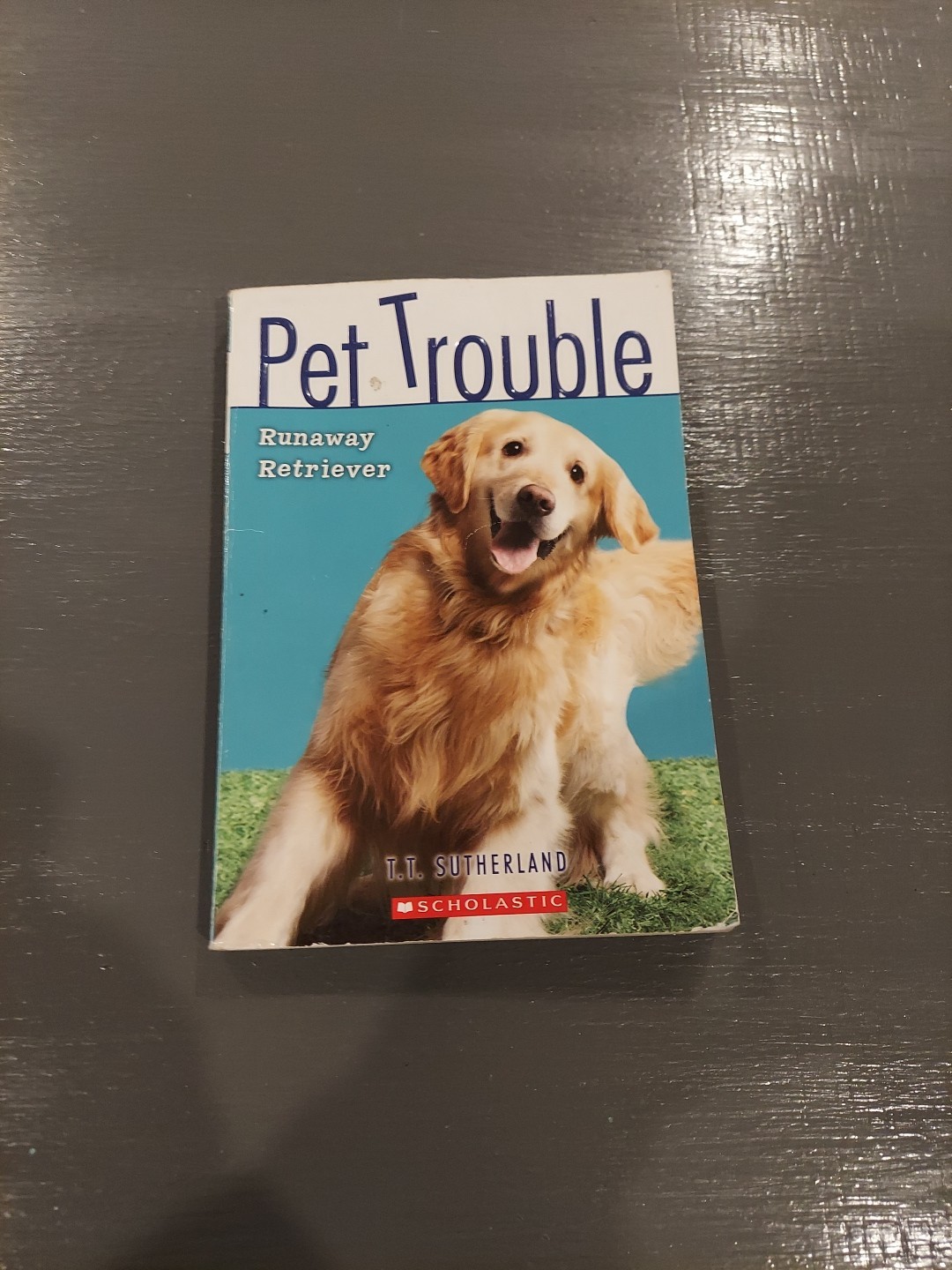 Pet Trouble Ser.: Runaway Retriever by Tui T. Sutherland (2009, Digest...