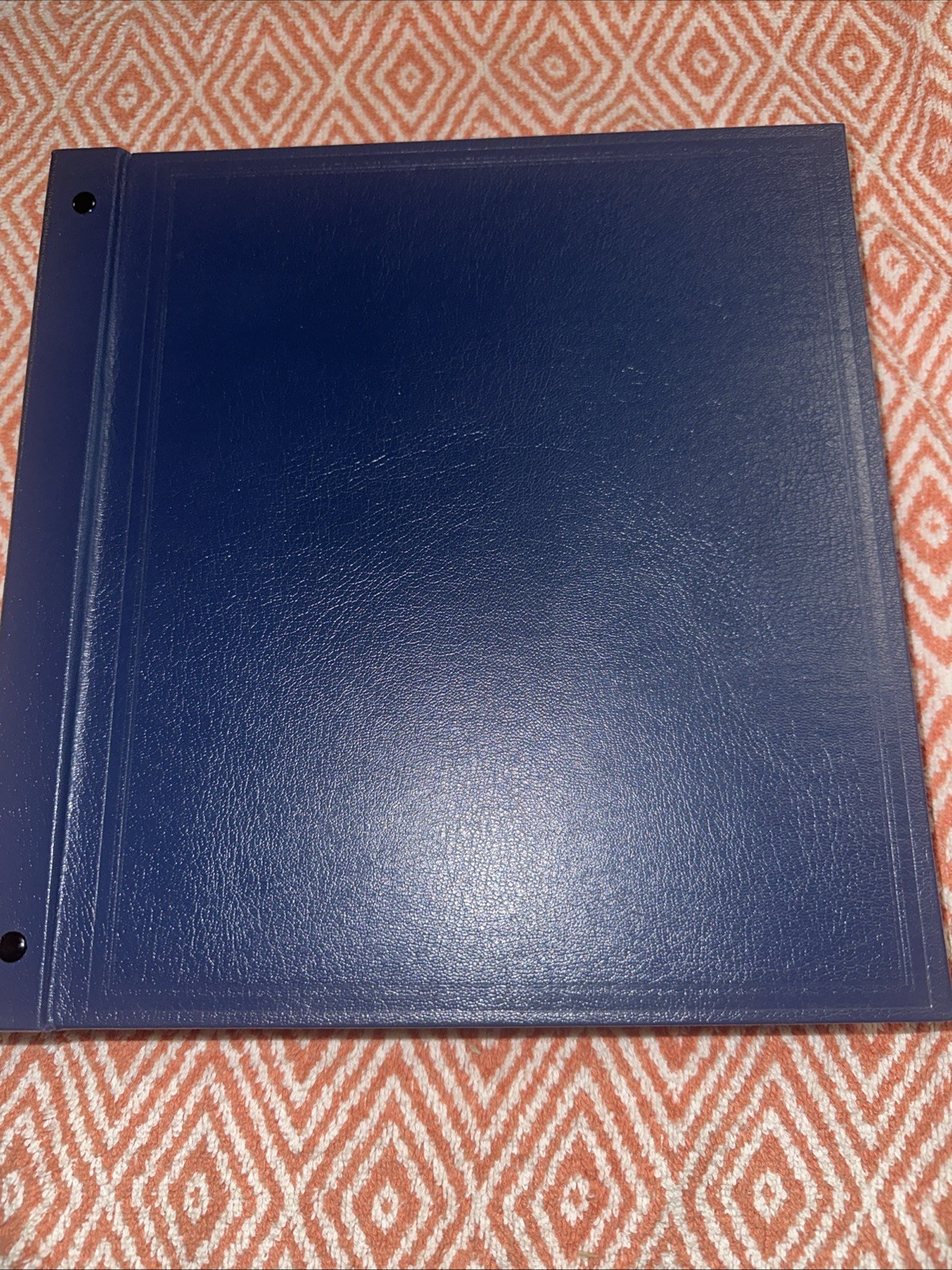 STAMPS -SG -DEVON ALBUM WITH BLUE SLIP CASE- HAS 40 FACED PAGES MAINLY LIGHT USE