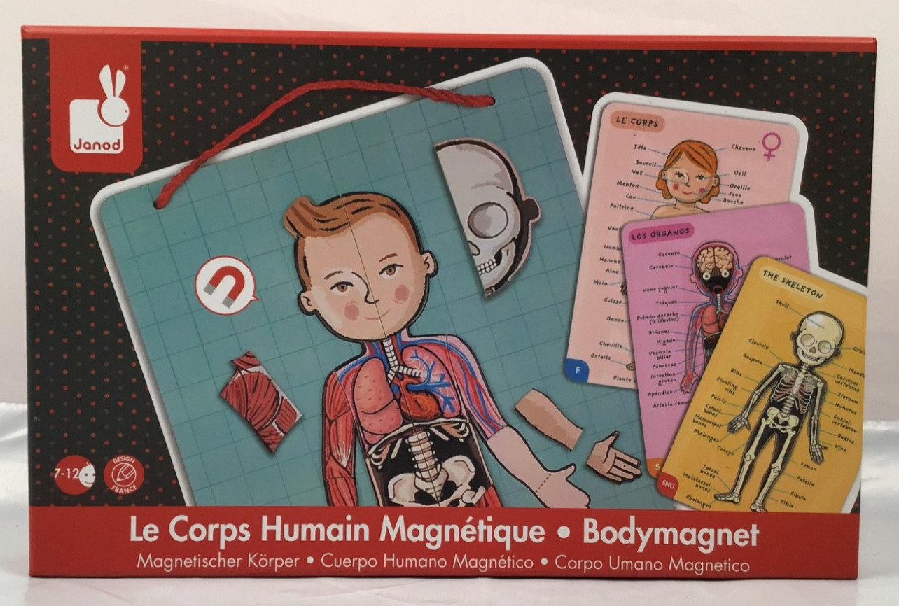 Janod Le Corps Human Bodymagnet Muscles Skeletal Anatomy Organs Multi Language