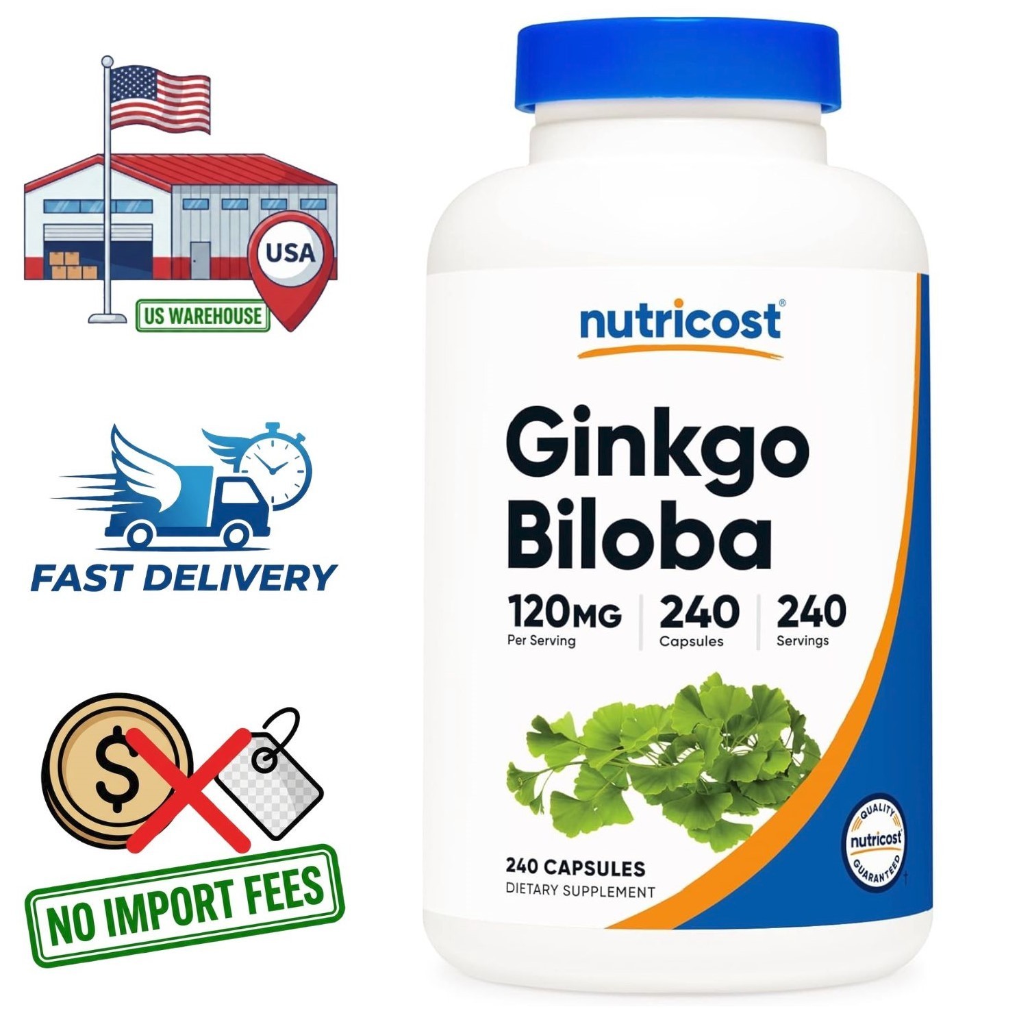 Ginkgo Biloba Extracto 120mg | 24% Glucósidos de Flavona | 240 Cápsulas en Polvo