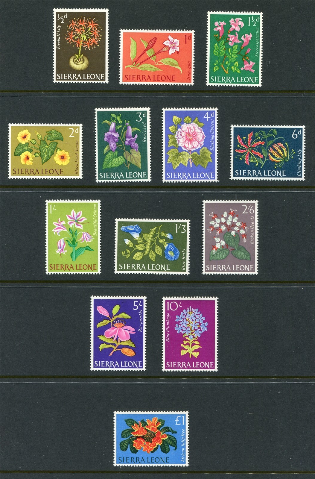 Sierra Leone #227-239 Elizabeth II Complete Set [Mint Never Hinged]