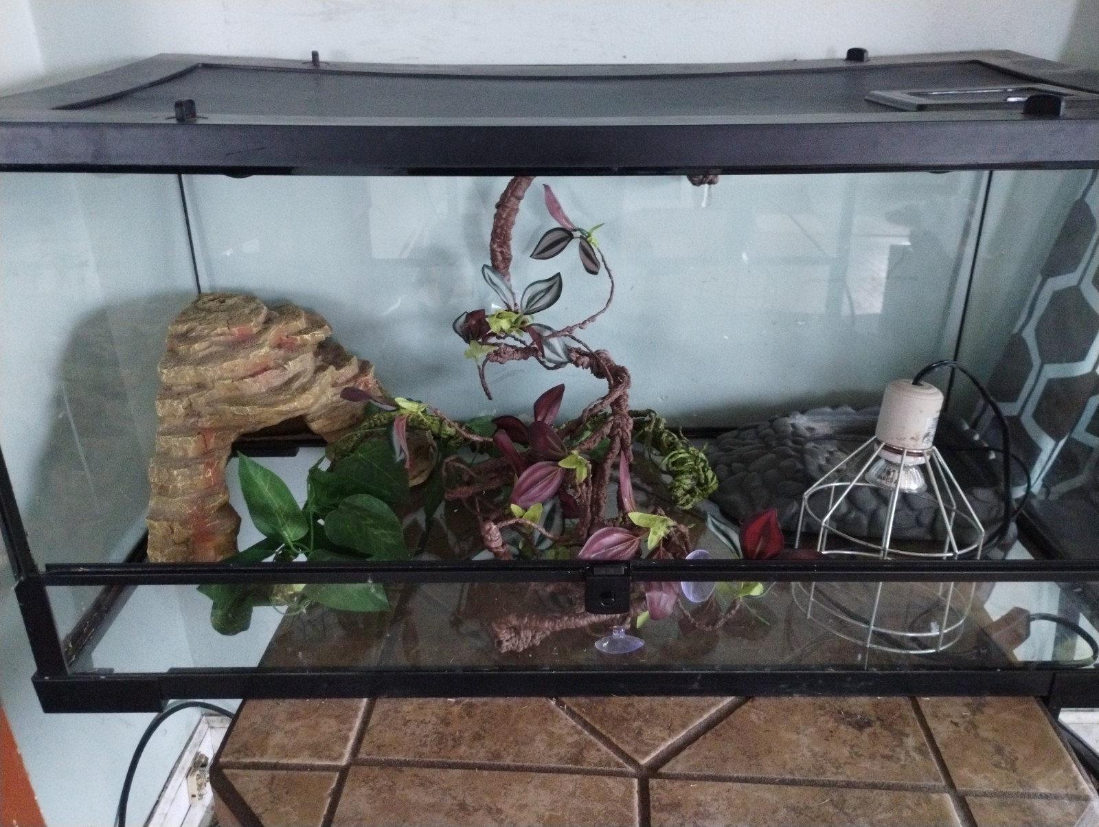 50 gallon glass Reptile Terrarium 18×18×36