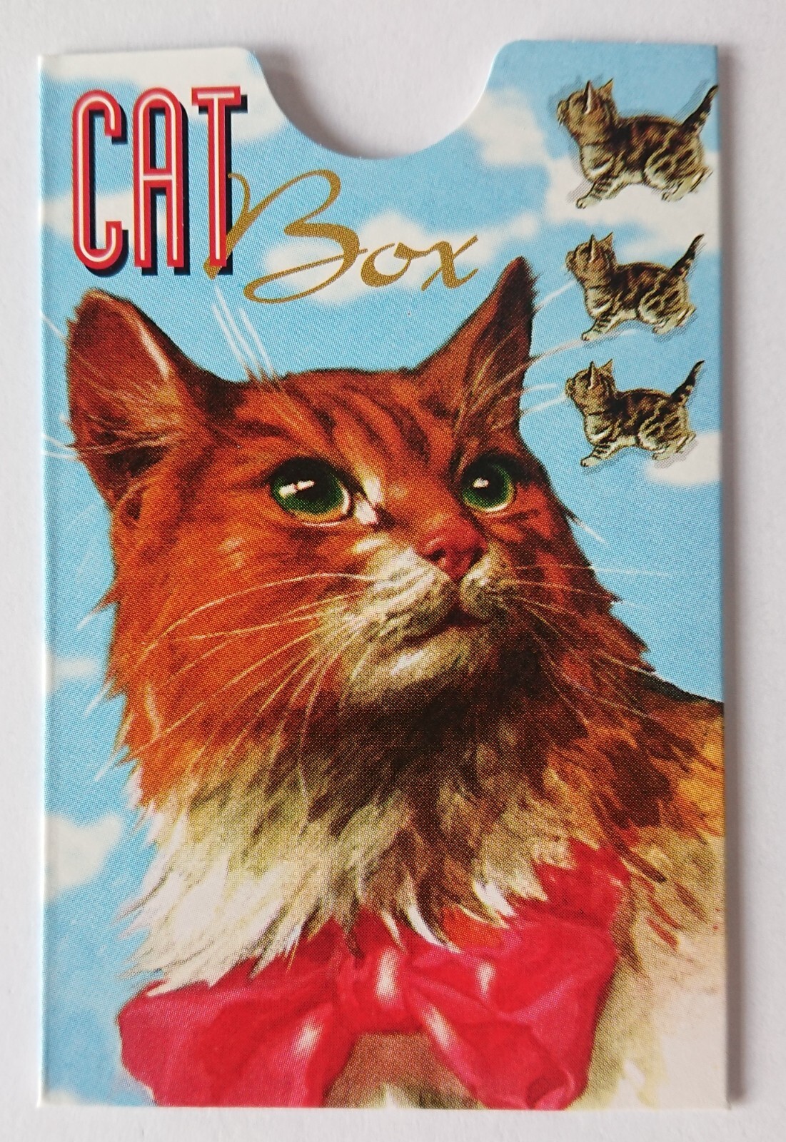 Card Holder Box Phone Card Bankkarte Ec Card Cat Box