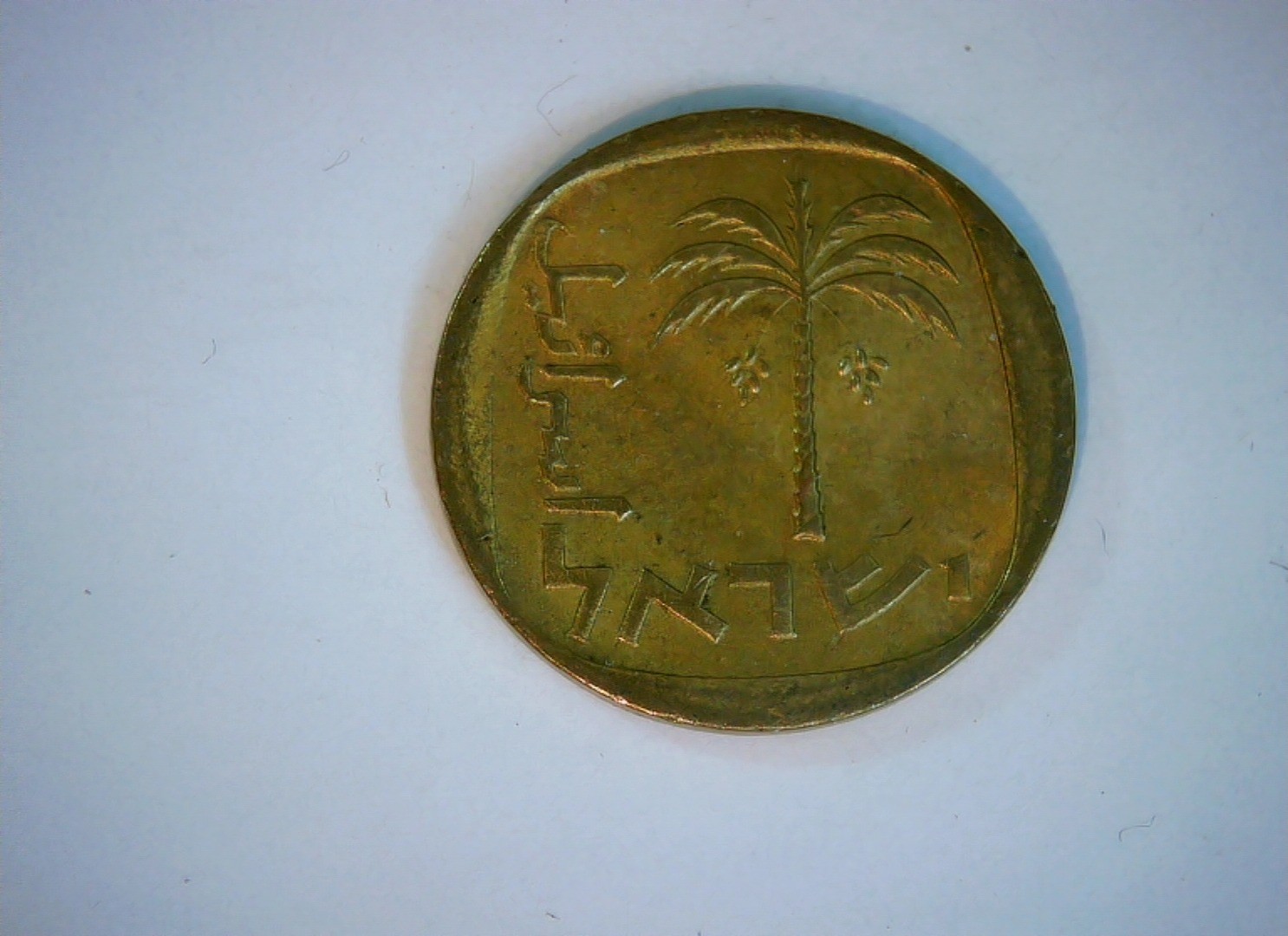 Israel 10 Agorot Israel 10 Agorot (palm tree) Coin
