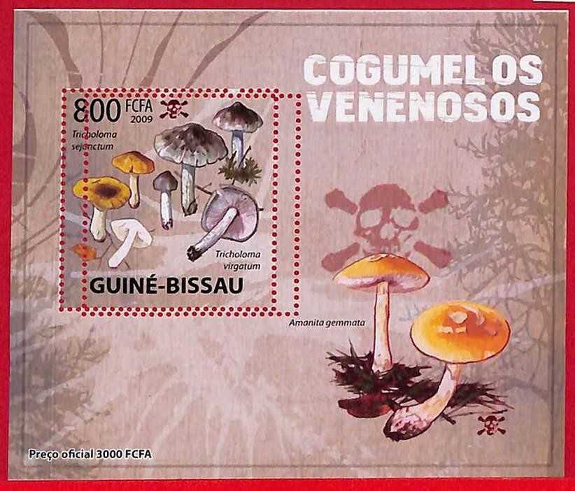 A5058 - GUINE-BISSAU - ERROR MISPERF Stamp Sheet - 2009 - Mushrooms