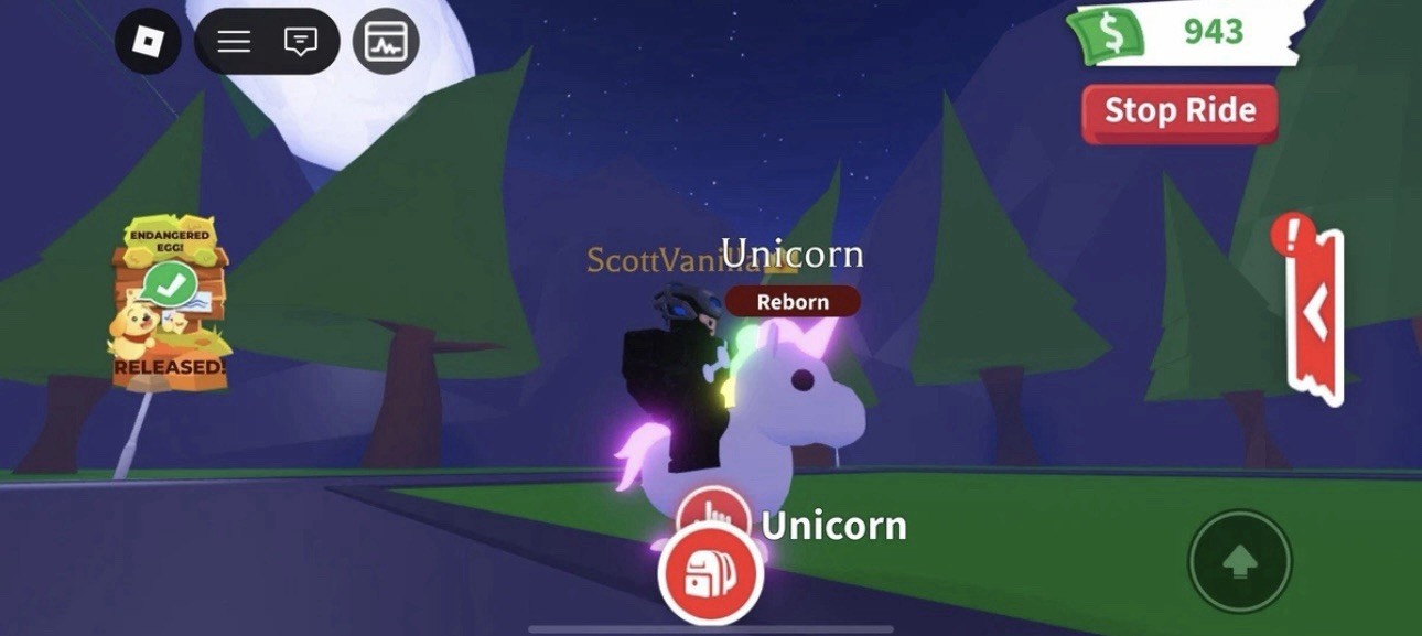 Adopt Me! Reborn Unicorn Game Item Asset Virtual Pet