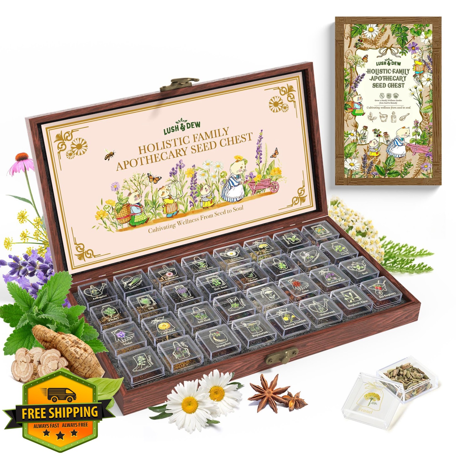 LushandDew 30k+ Medicinal Herb Seed Chest Heirloom Non-GMO Gardening Gift