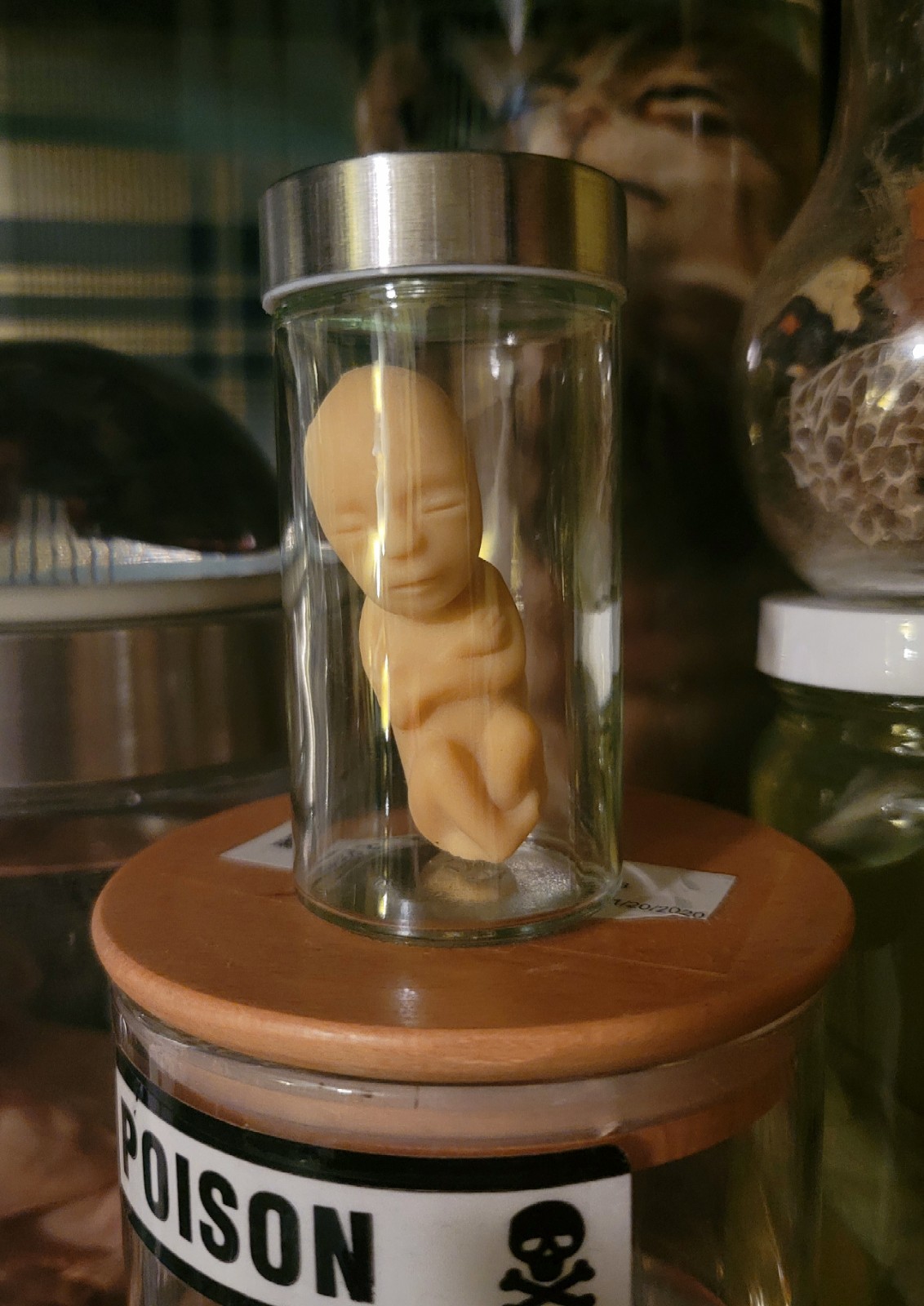 Jarred Fetus Specimen - Rubber Medical Oddity, Two Skin Tones Available