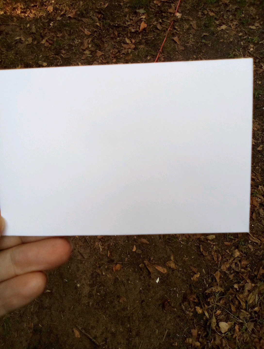 Gold Card Proverb Card