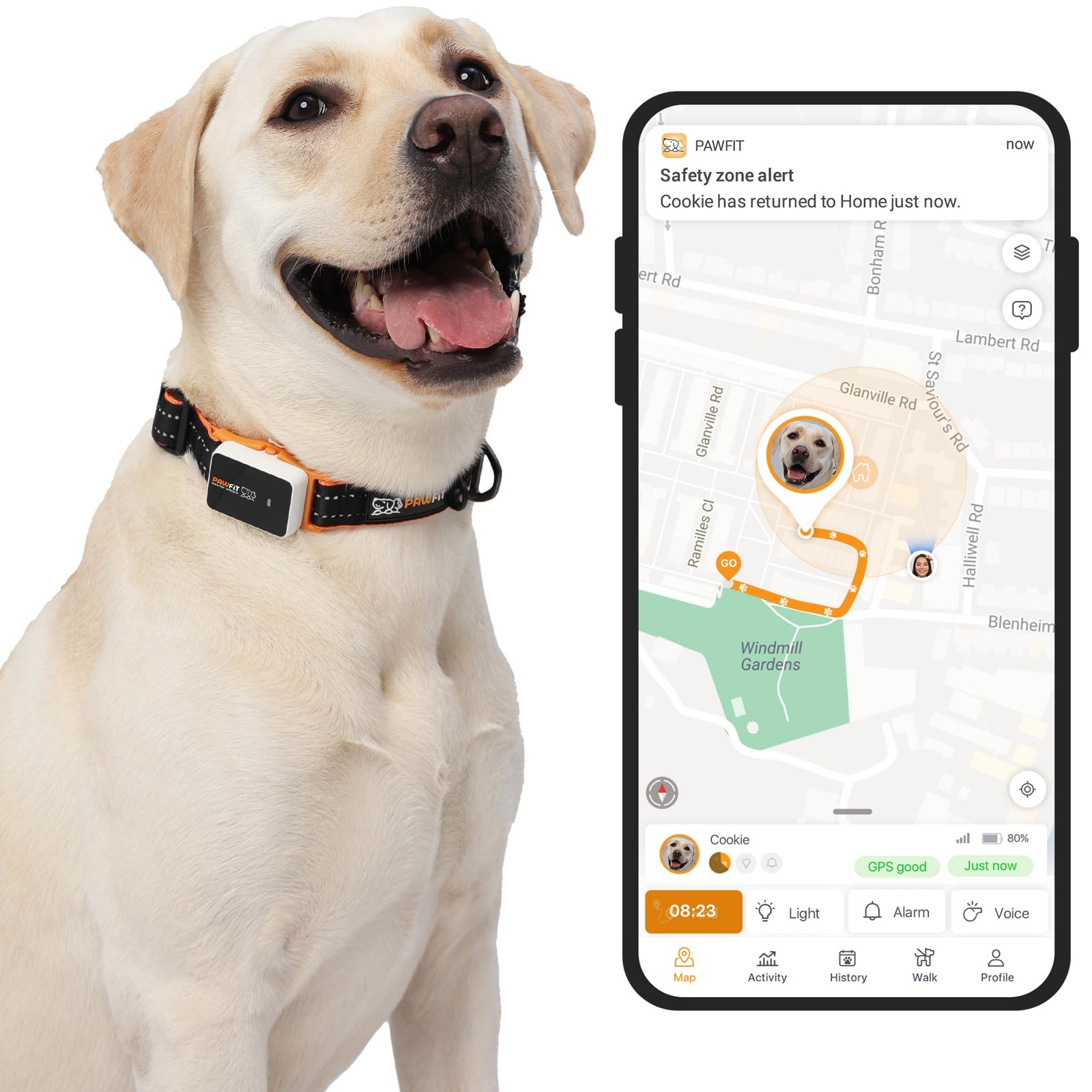 3 GPS Pet Tracker GPS Dog Tracker 4G Live Tracking, Smart Alerts, Fully Water...