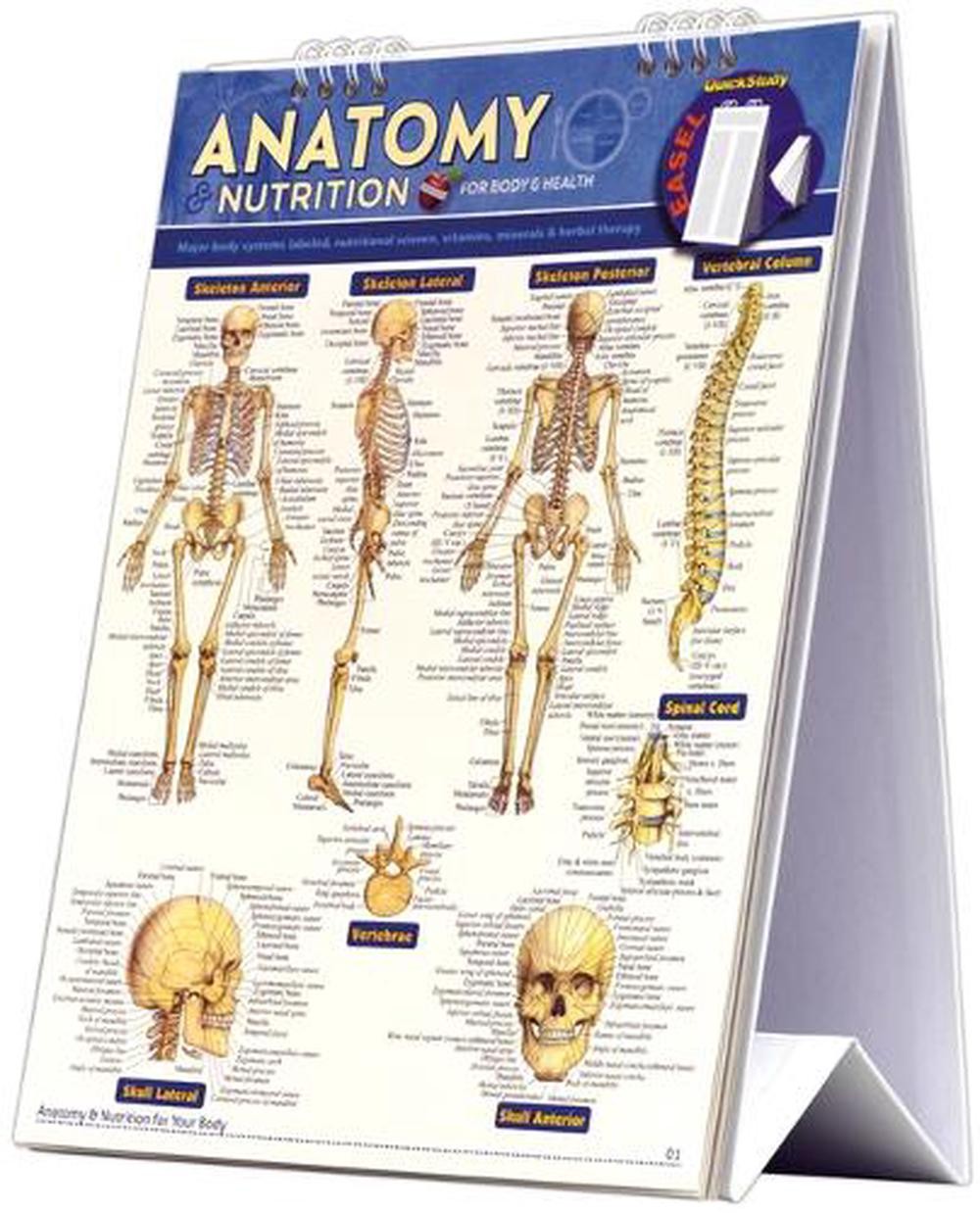 Anatomy & Nutrition for Body & Health Easel Book: a QuickStudy Reference Tool wi