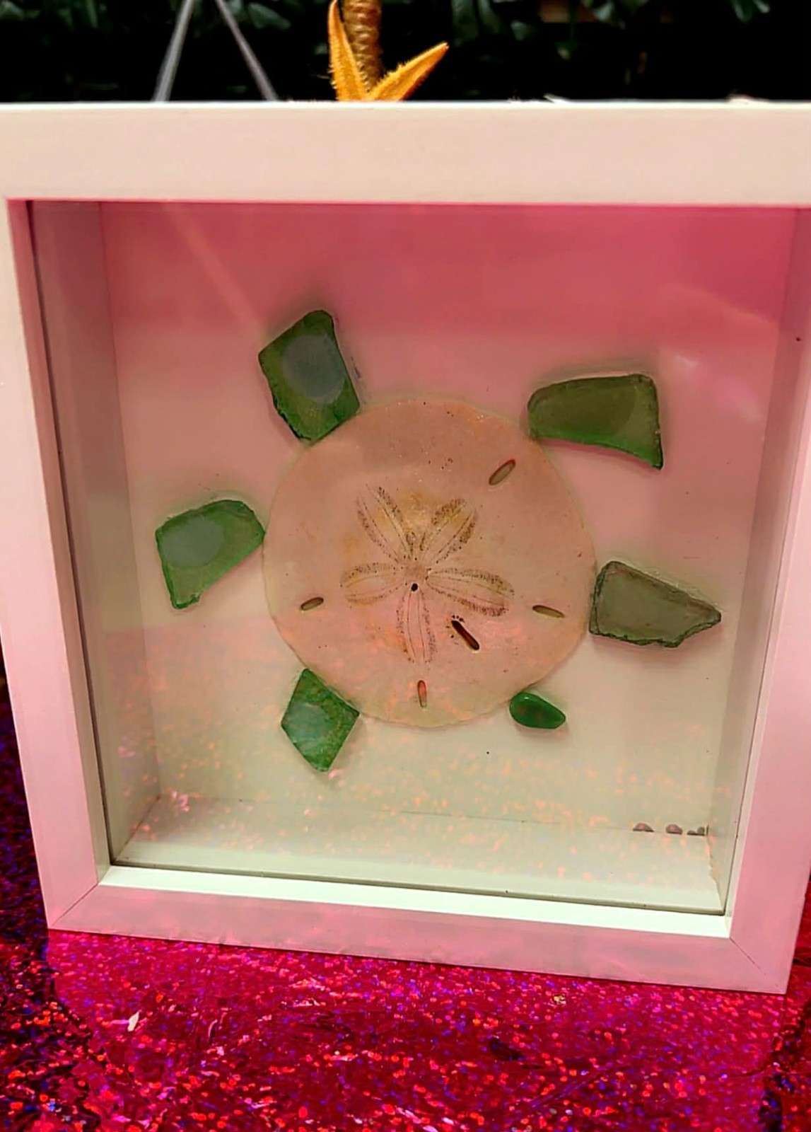 Sea turtle Sand dollar and Sea Glass 3d Art in White Shadow Box 5x5