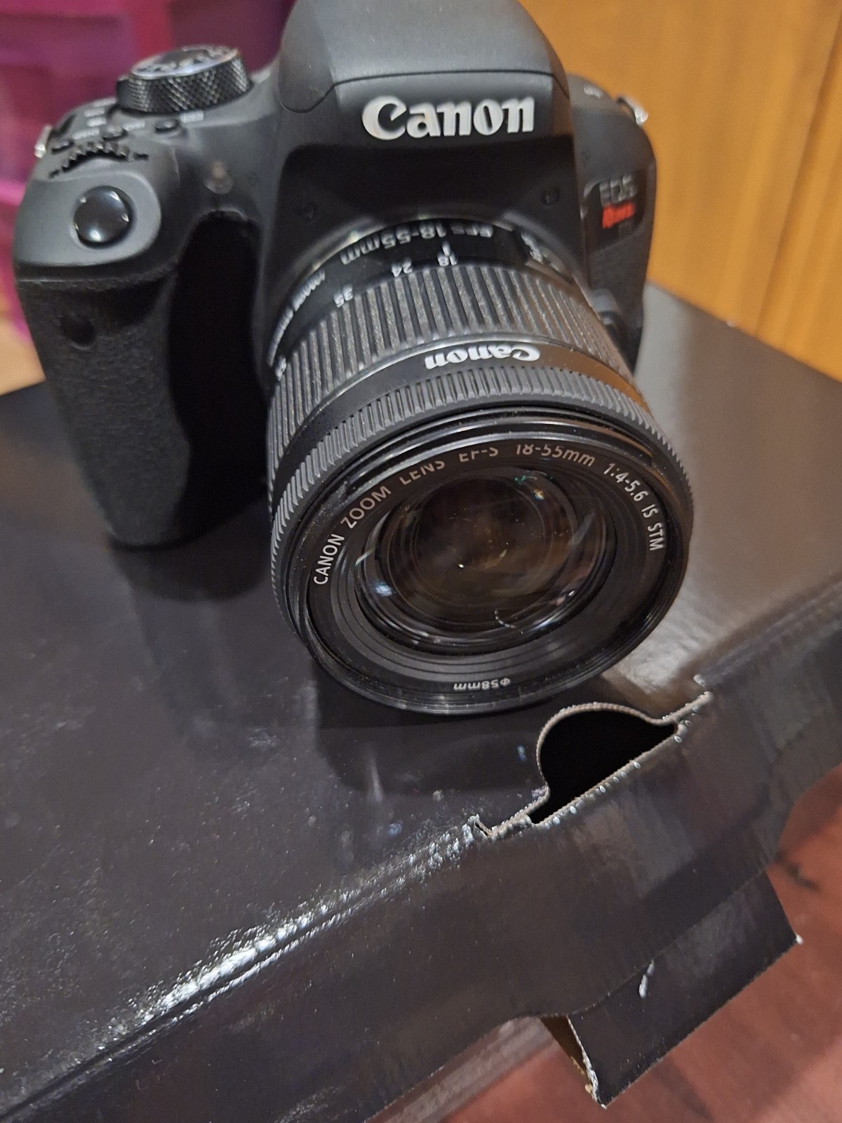 Canon EOS R8 Digital Mirrorless Camera with RF 24-50mm f/4.5-6.3 IS STM Kit