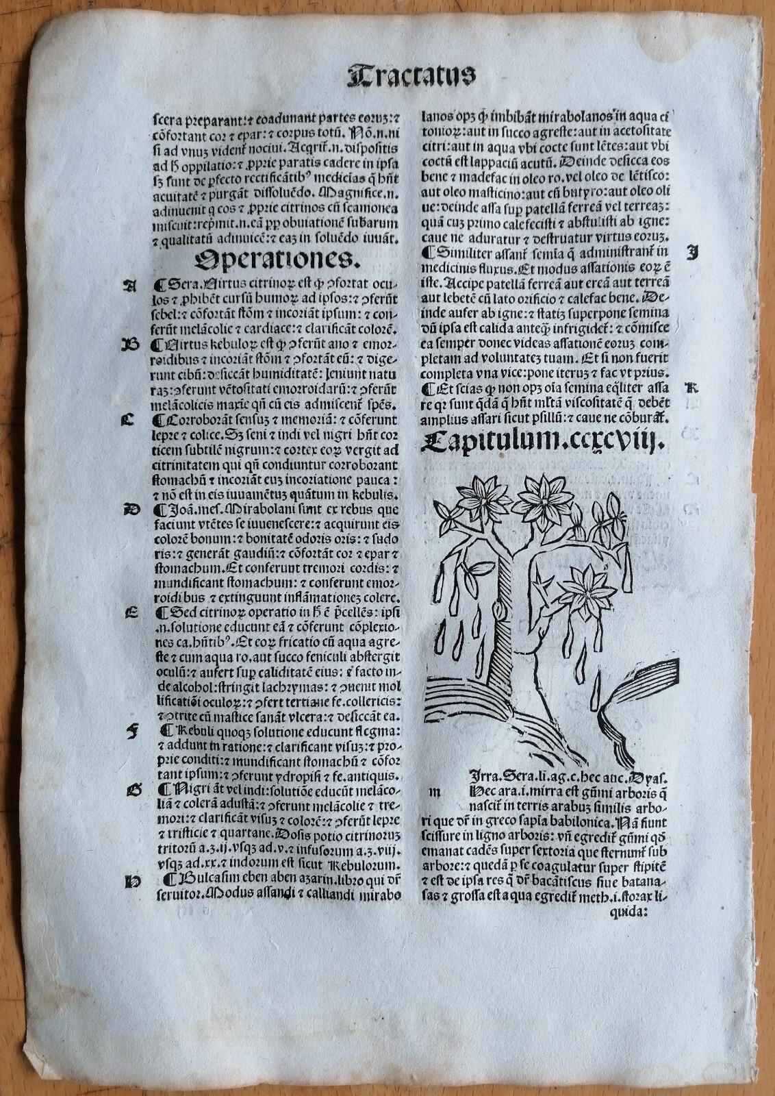 Post Incunable Leaf Hortus Sanitatis Woodcut Botany Myrrh - 1511