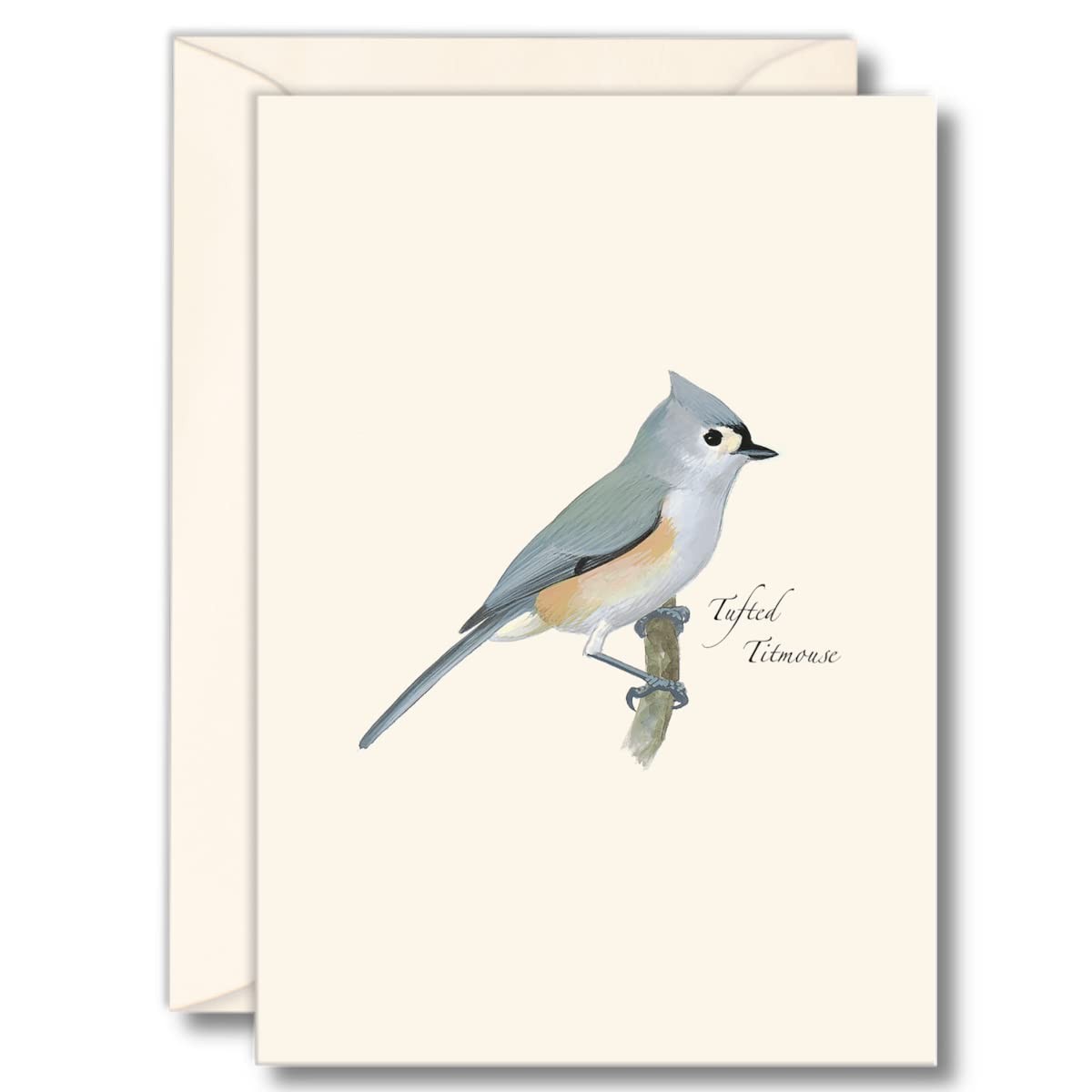8 PCS Tufted Titmouse Bird Notecard Set Blank Cards Envelopes Stationery