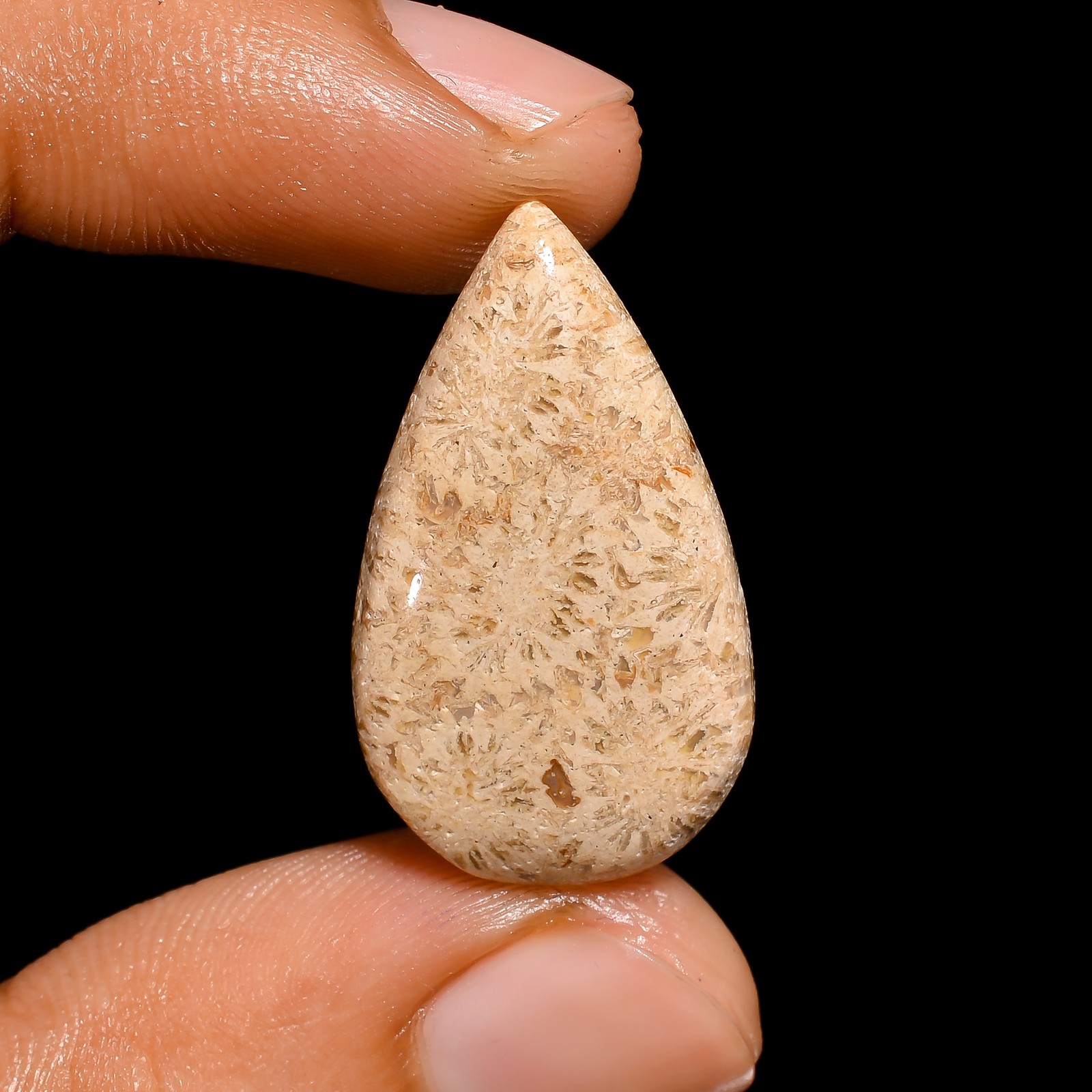 Natural Fossil Coral Pear Shape Cabochon Loose Gemstone 14.5 Ct 27X16X5mm A-1790