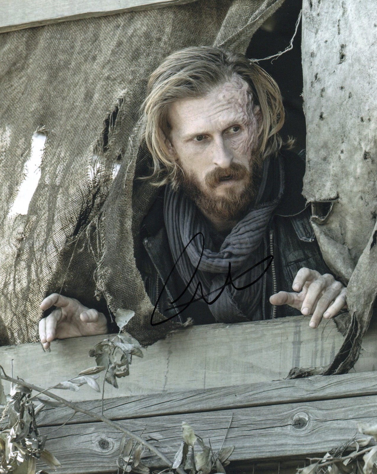 AUSTIN AMELIO SIGNED PHOTO (14) FEAR /  THE WALKING DEAD