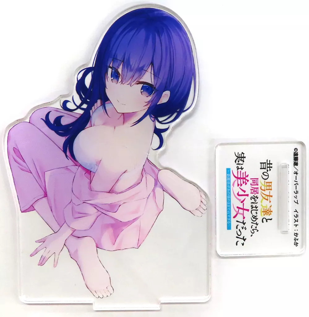 Gamer's Limited Acrylic Panel Kafka Illustration Light Novel Bonus Item 130x94mm