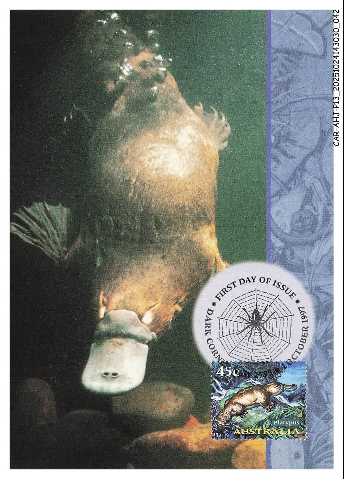 CAR-AHJP13-0596-CART-MAXIMUN - AUSTRALIA - Platypus - 1997