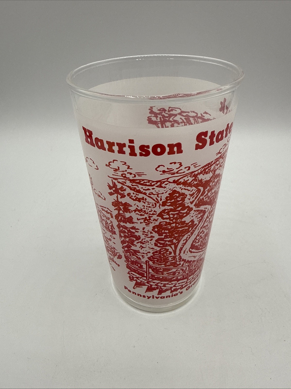 Vintage Harrison State Park Souvenir Glass Pennsylvania Grand Canyon Red 4.75"