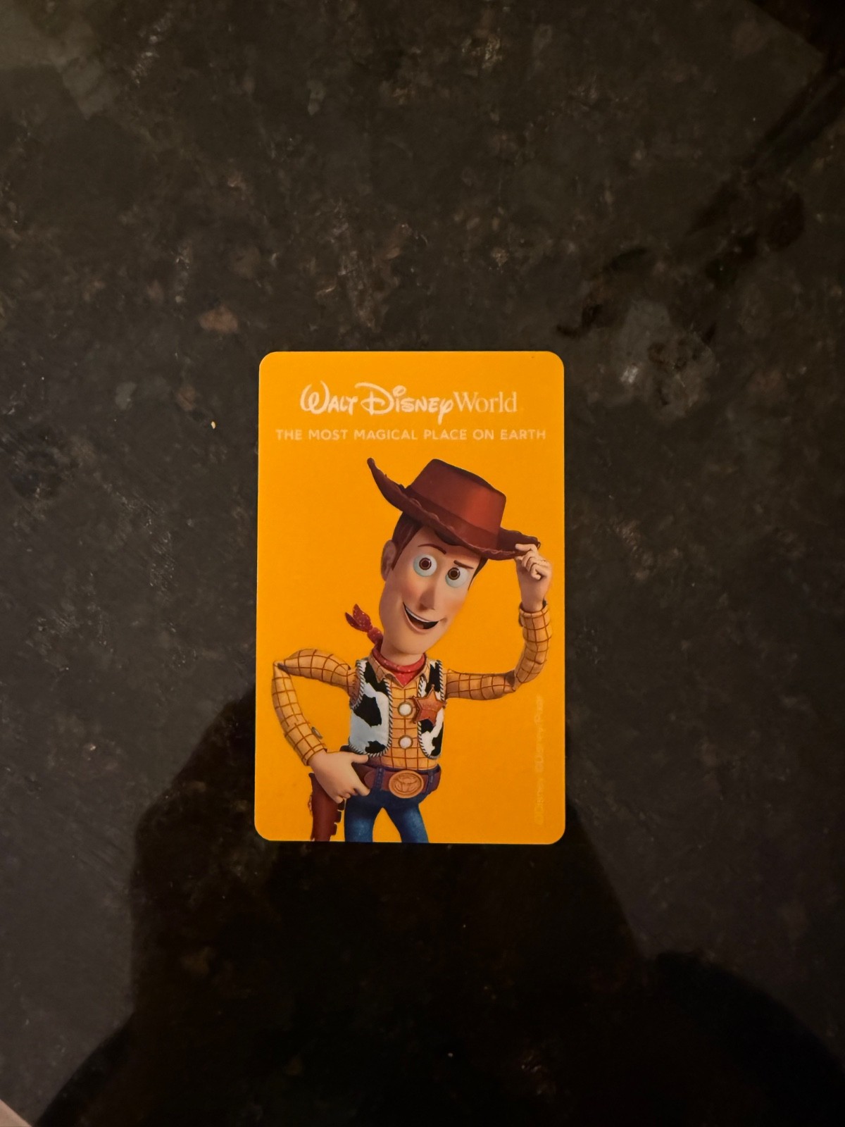 One Park One Day Ticket - Orlando Park only