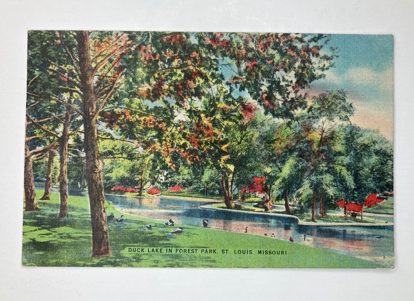 c1947 Duck Lake In Forest Park St. Louis, Missouri MO Scenery VINTAGE Postcard