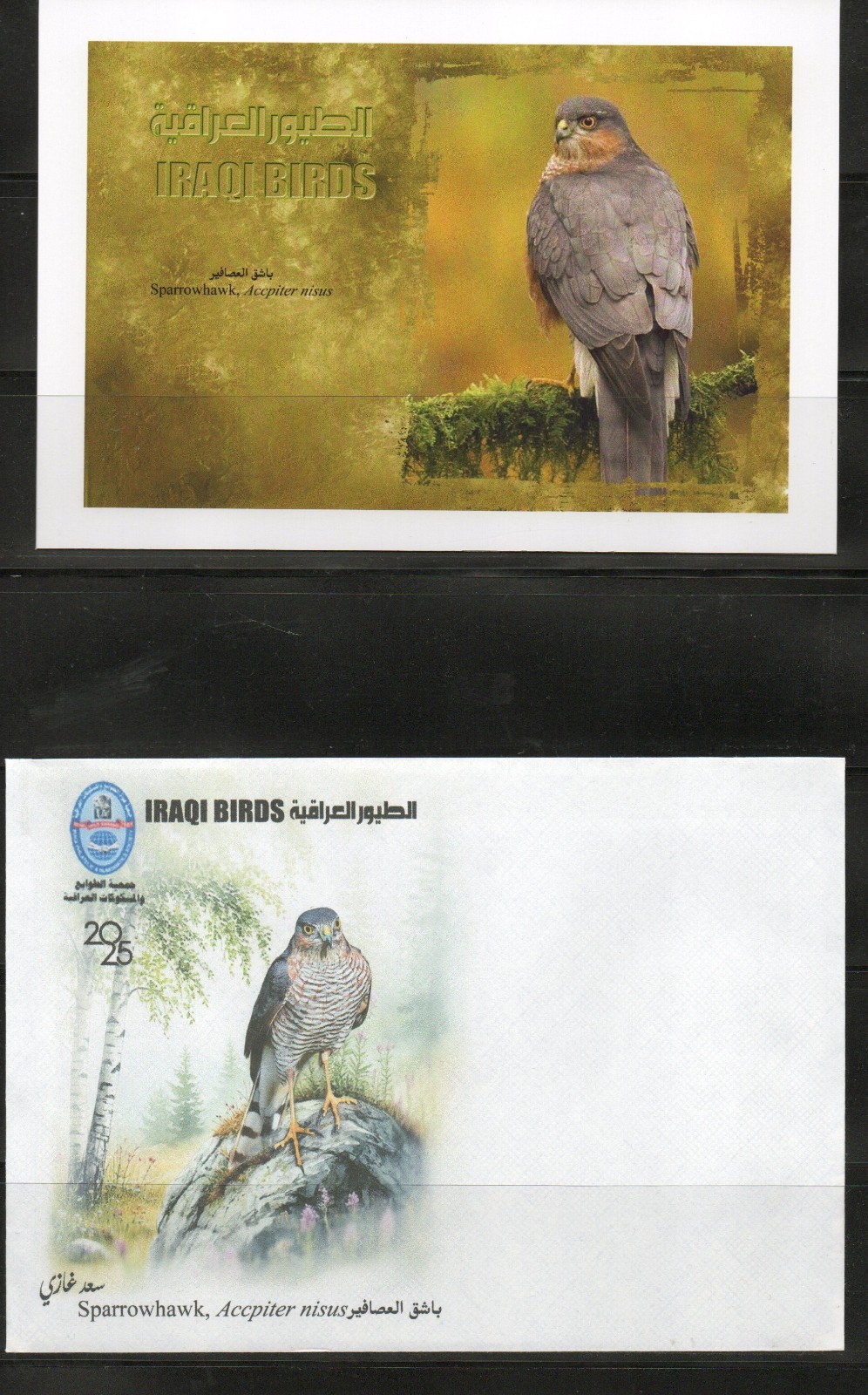 Postcard issued by the Iraqi Philatelic Society featuring the birds of Iraq2025