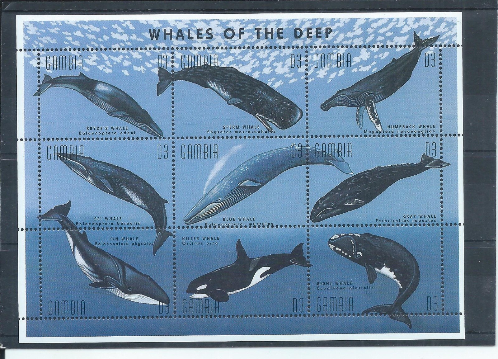 Gambia stamps.  1995 Whales of the Deep sheetlet MNH SG 2135a (AA475)