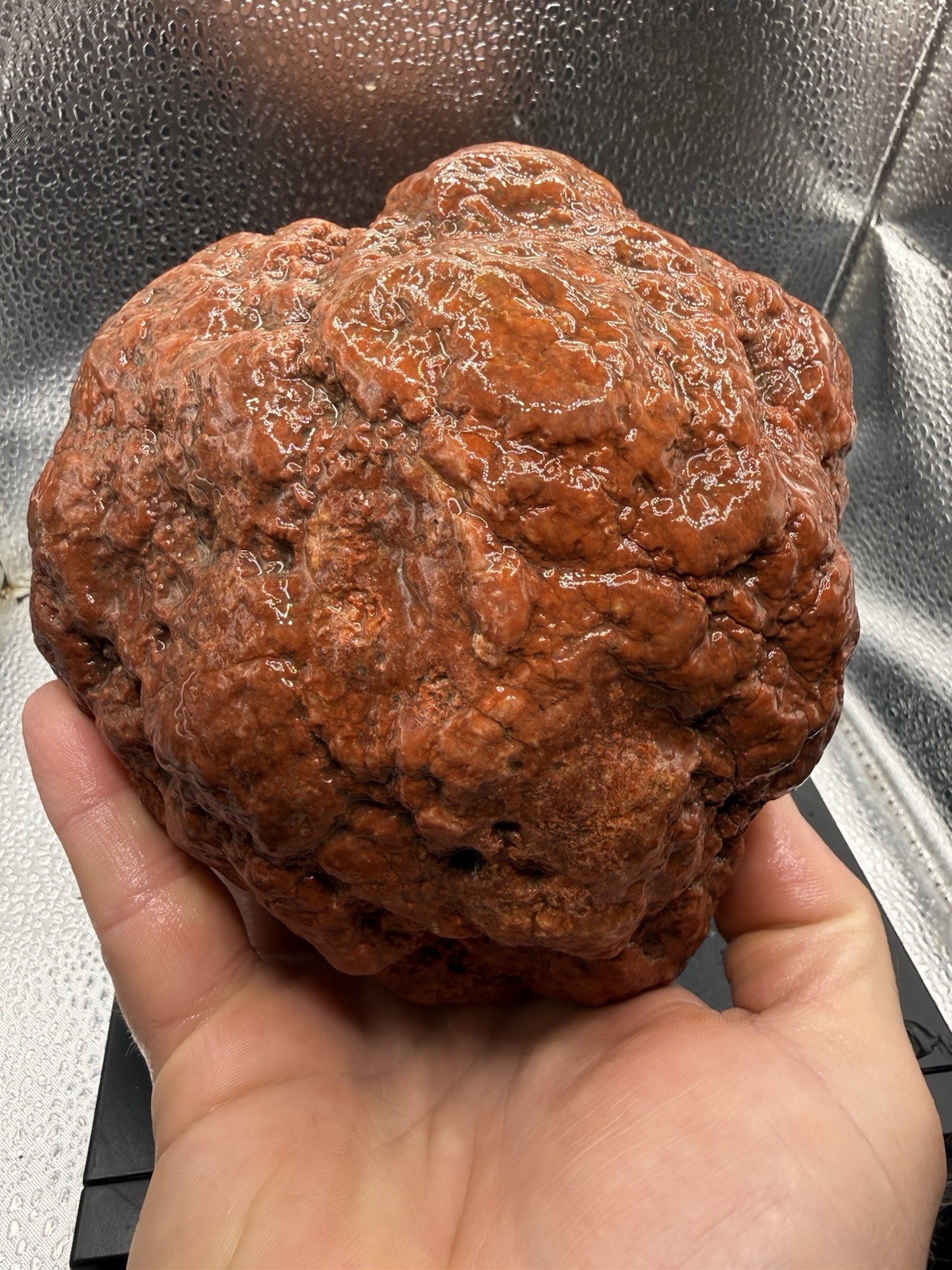 Ancient Fossilized Indiana Geode Iron Red Agate Hoosier Oddity 12,320 Carats