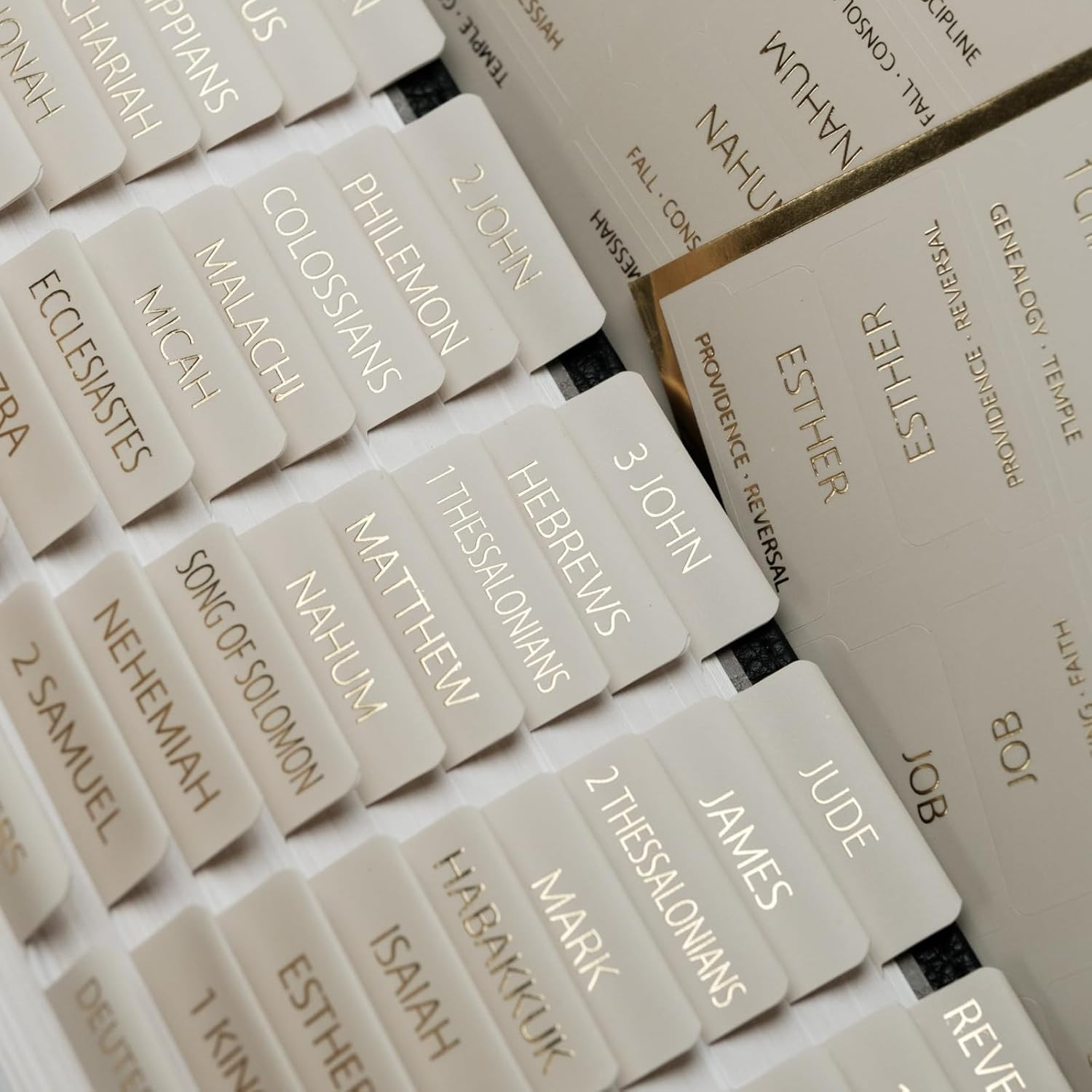 -Laminated Bible Tabs with Book Summaries(Gold Foil Embossed Lettering), Bible T